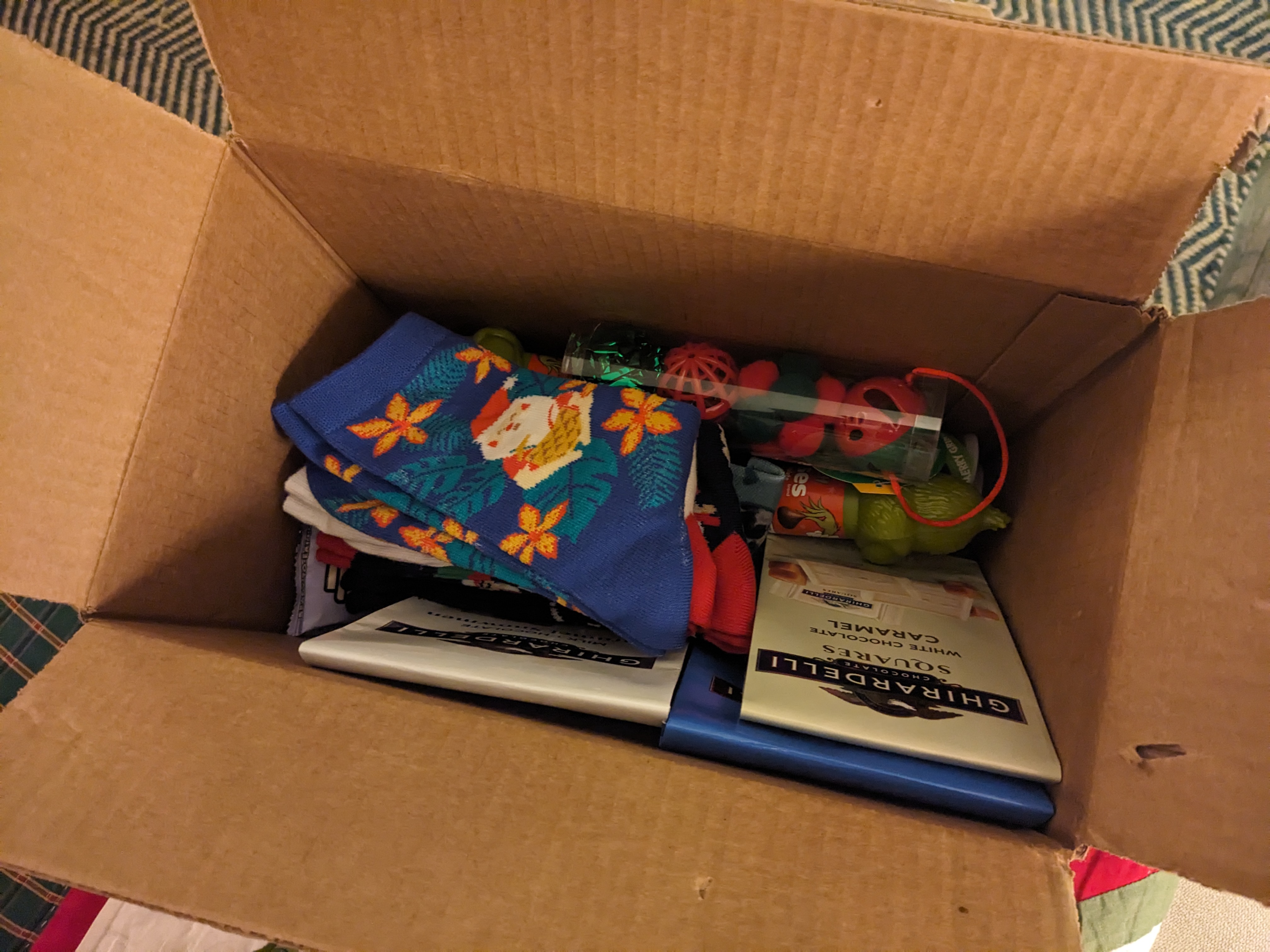 PXL 20231225 004356158