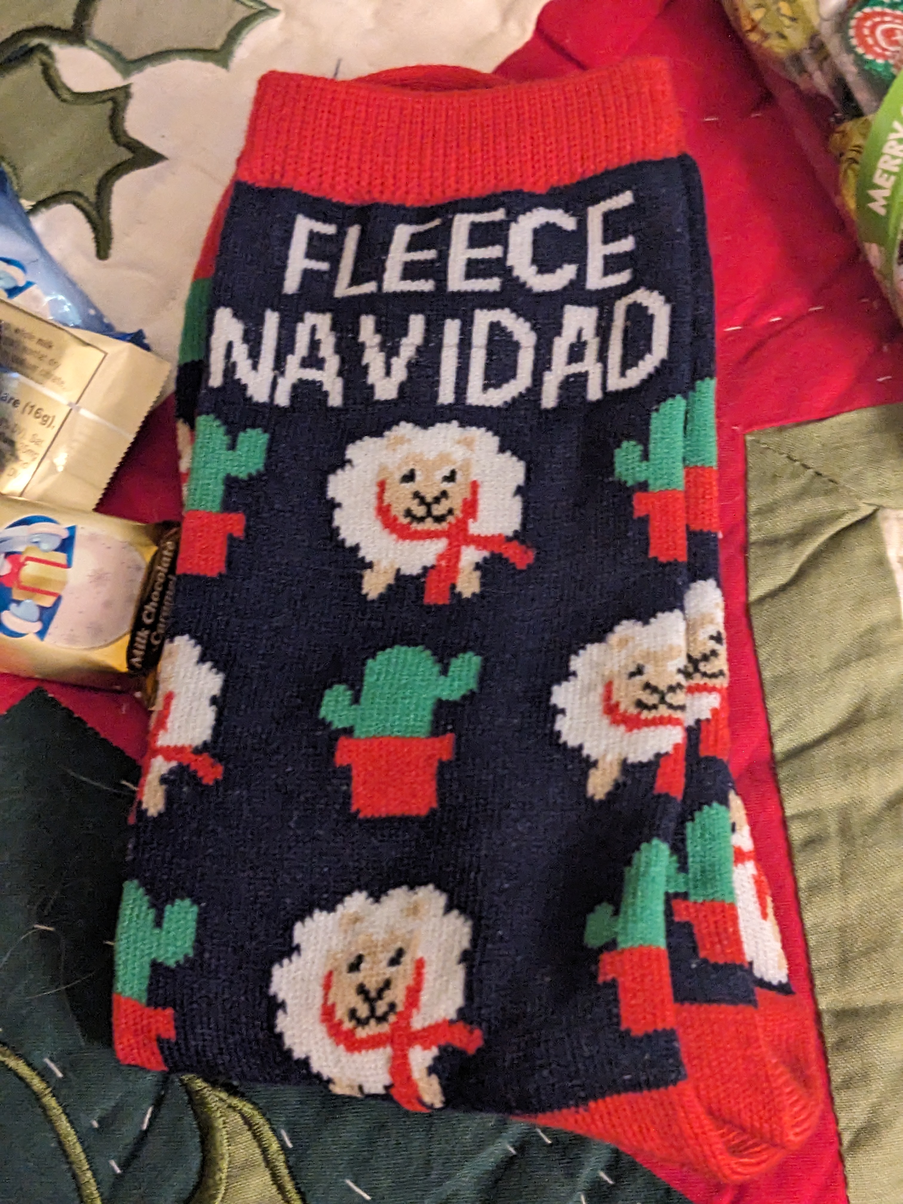 PXL 20231225 132331644