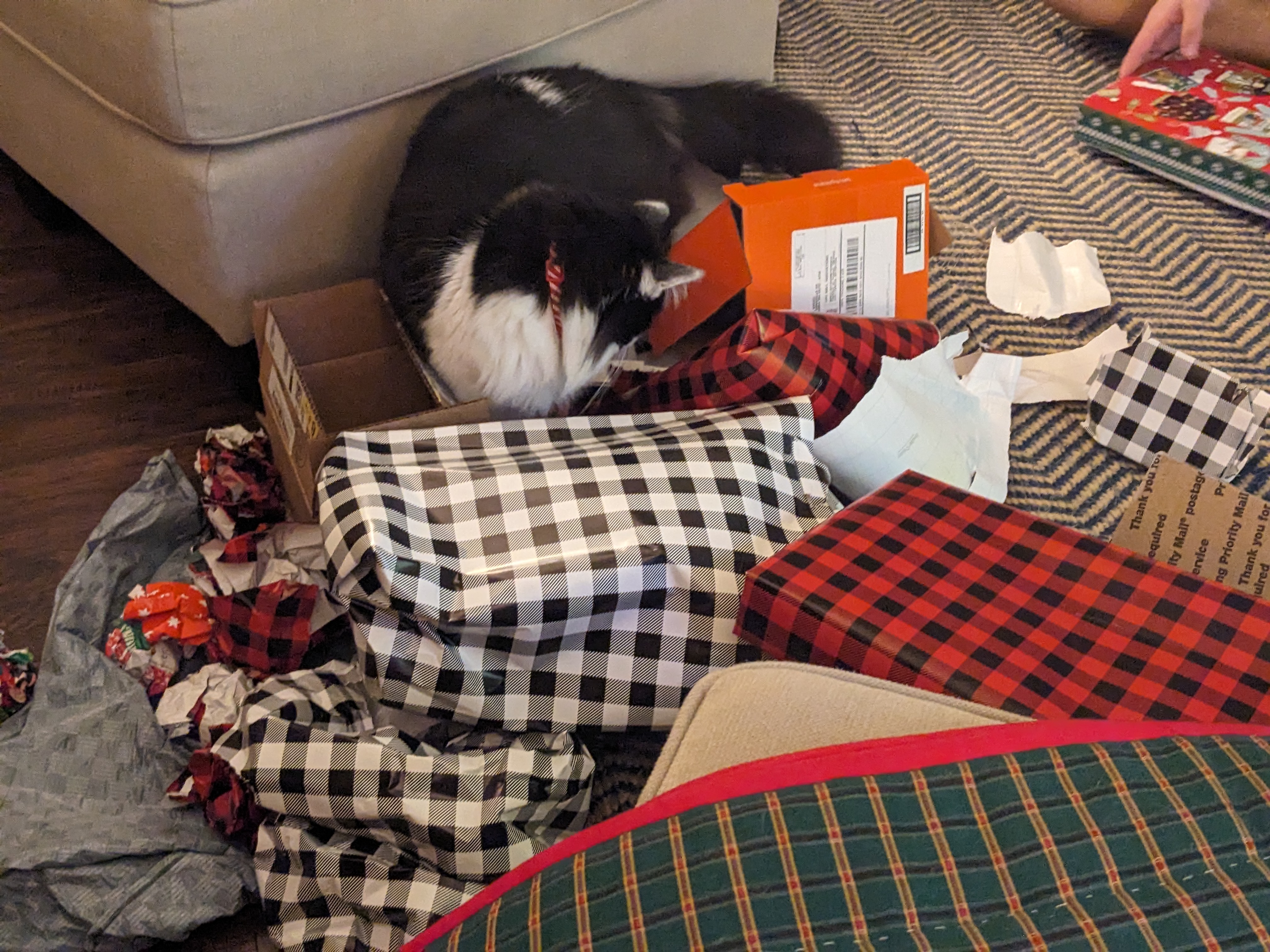 PXL 20231225 133654825