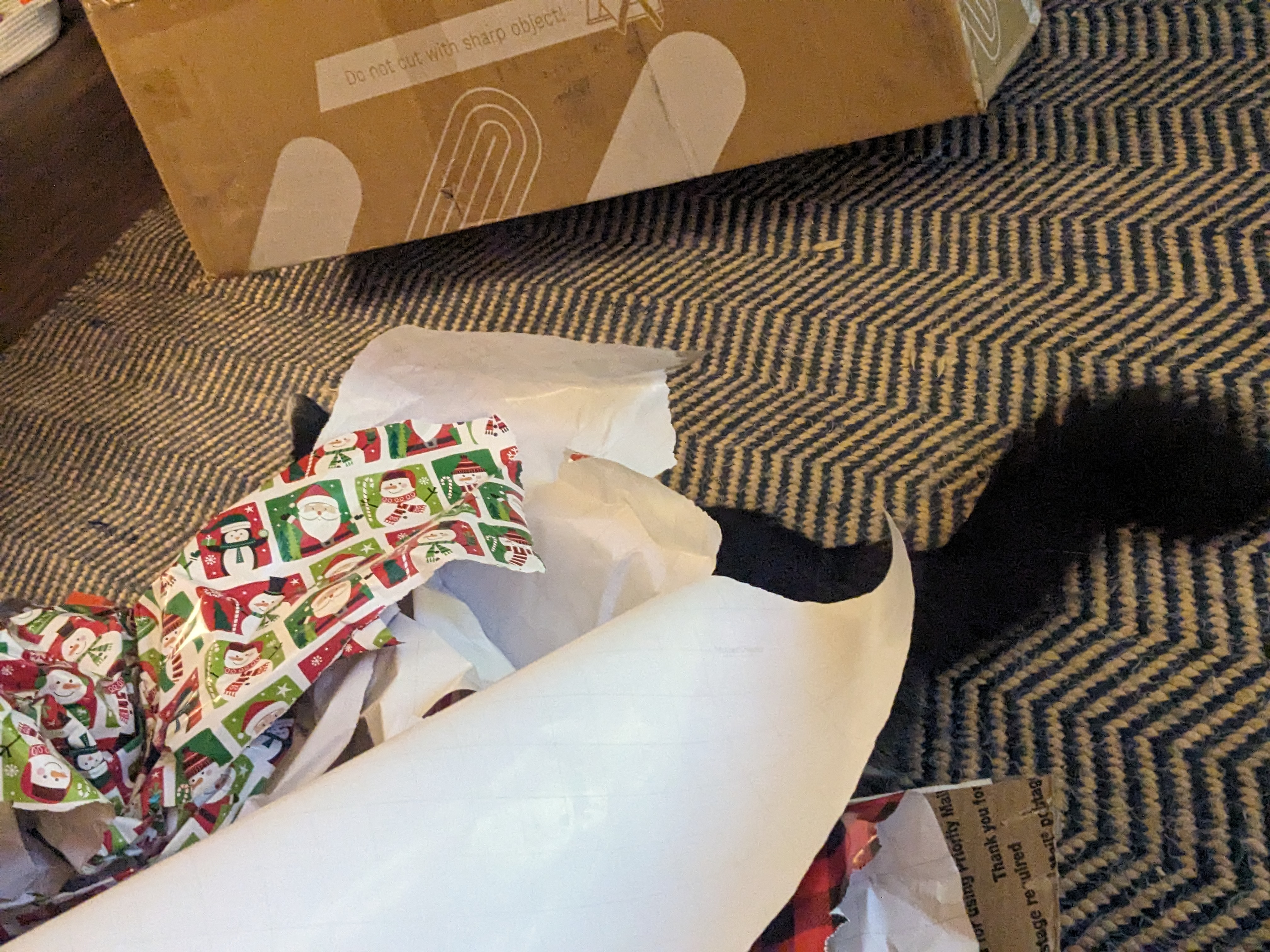 PXL 20231225 134358970