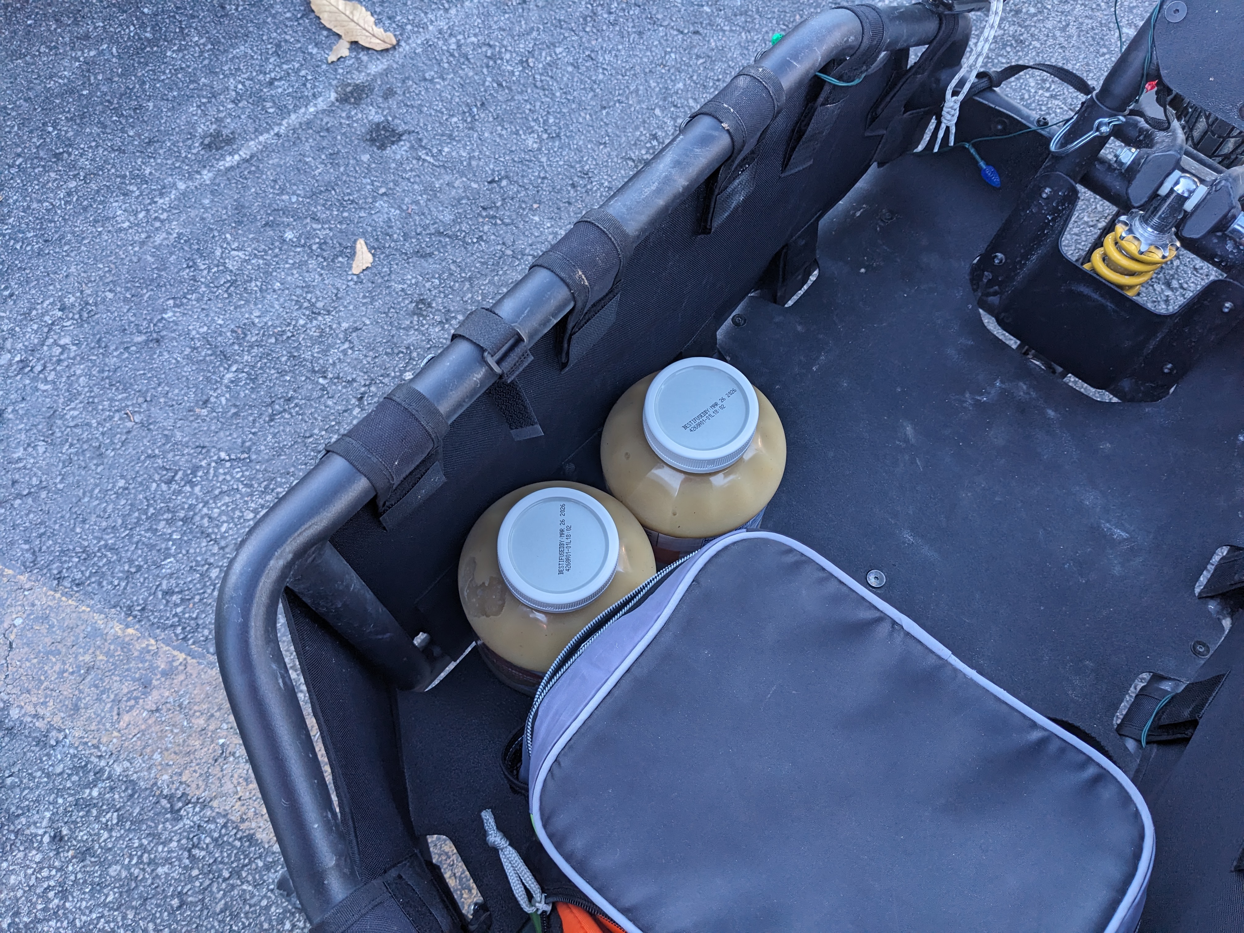 PXL 20241207 184410587