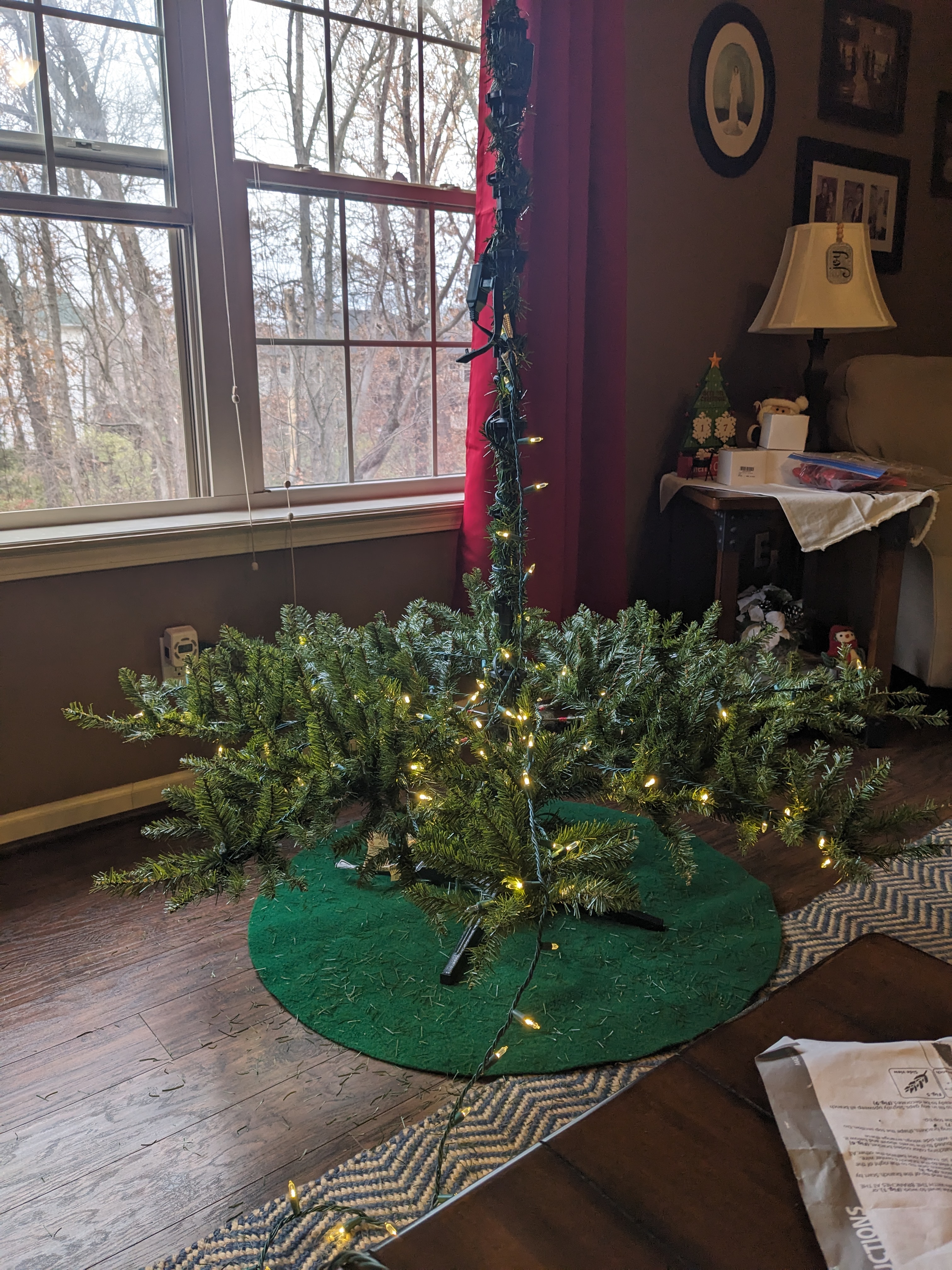 PXL 20241208 184032673