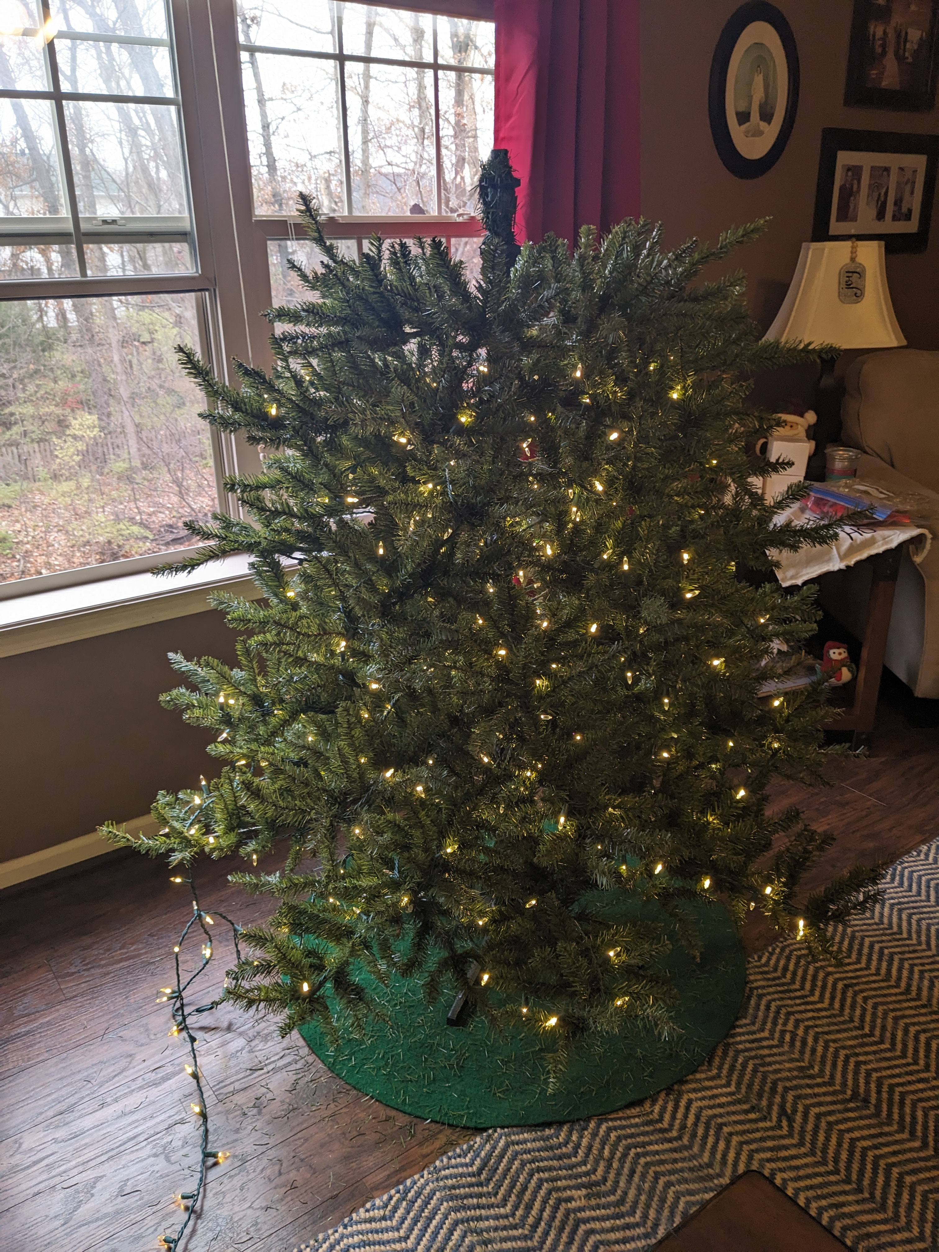 PXL 20241208 192740769