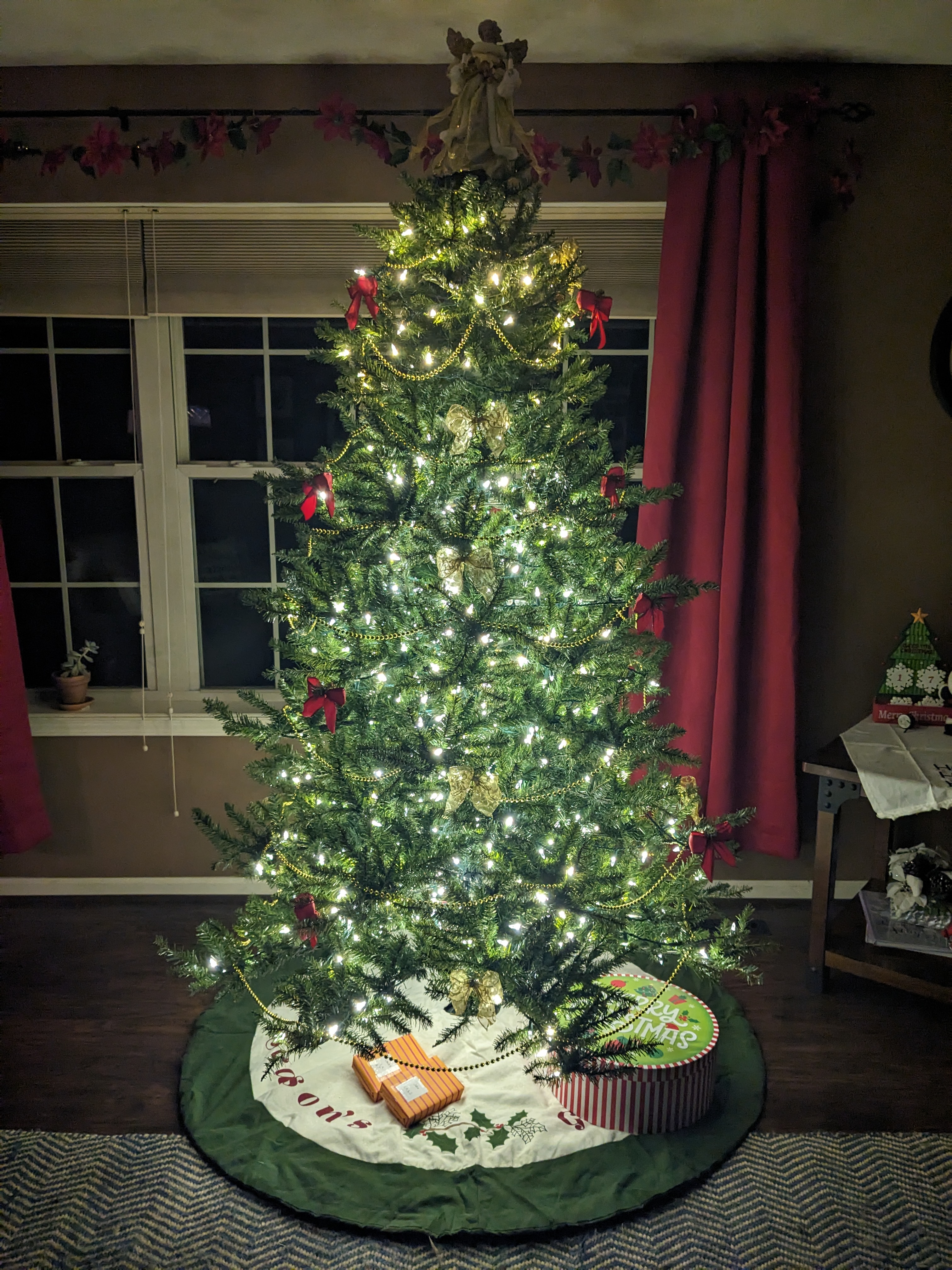 PXL 20241208 234908309