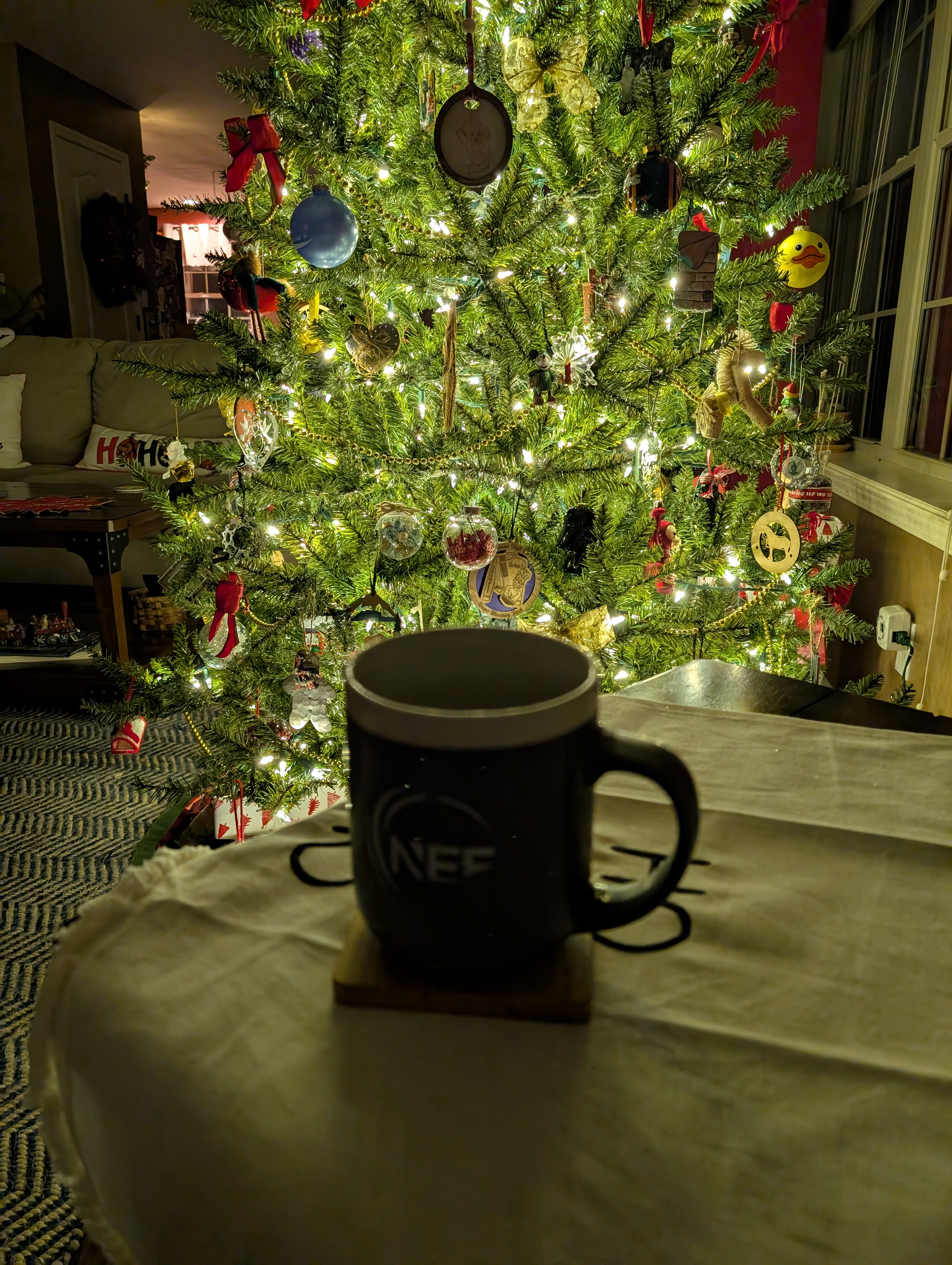 PXL 20241221 120903254