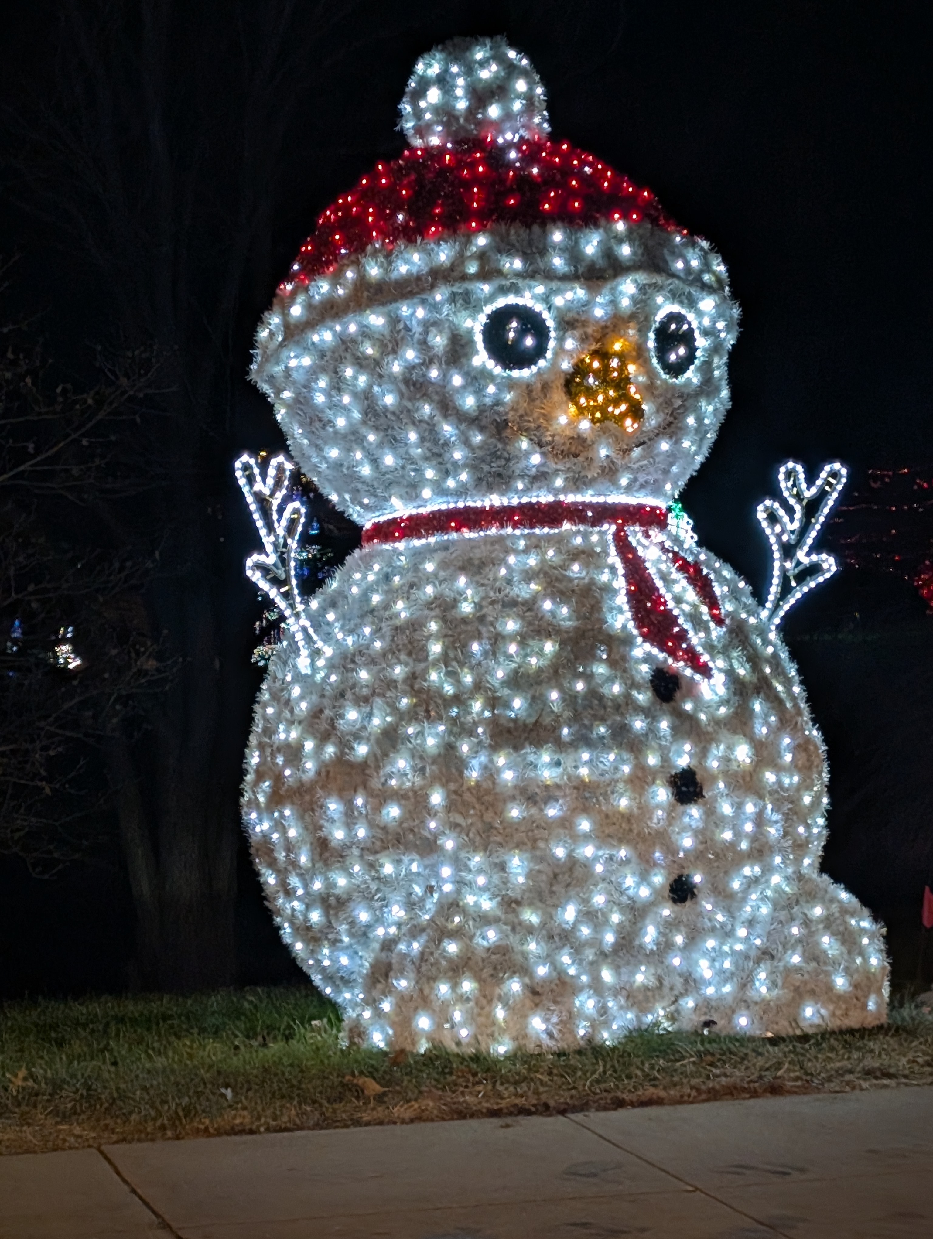 PXL 20241222 014350795