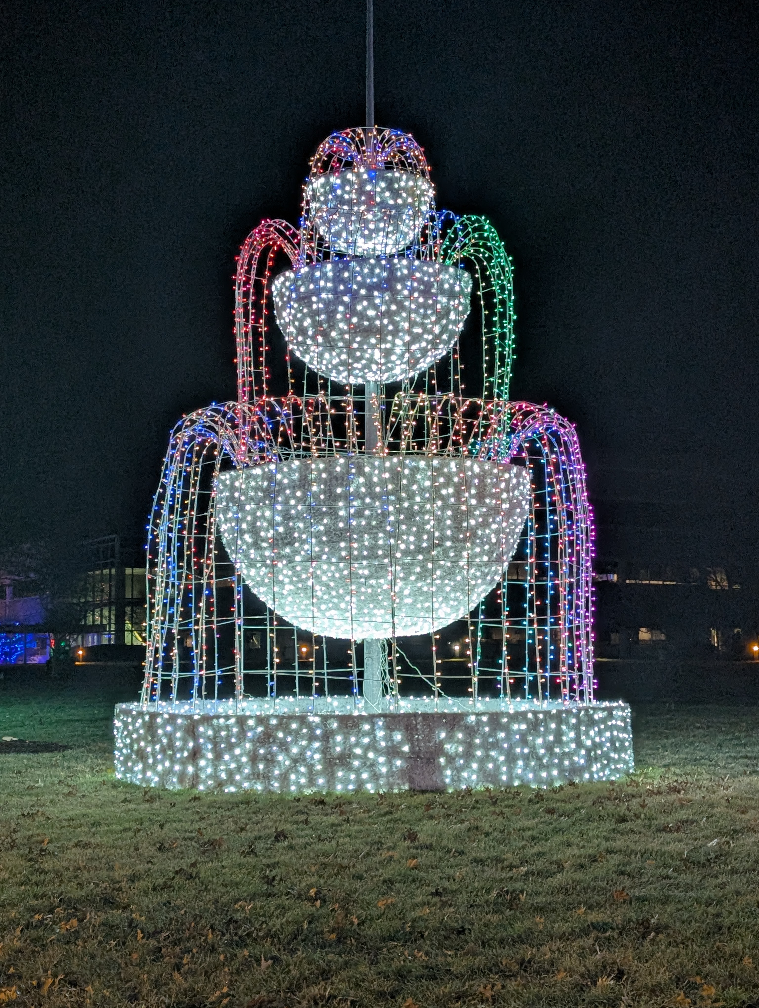 PXL 20241222 014623151