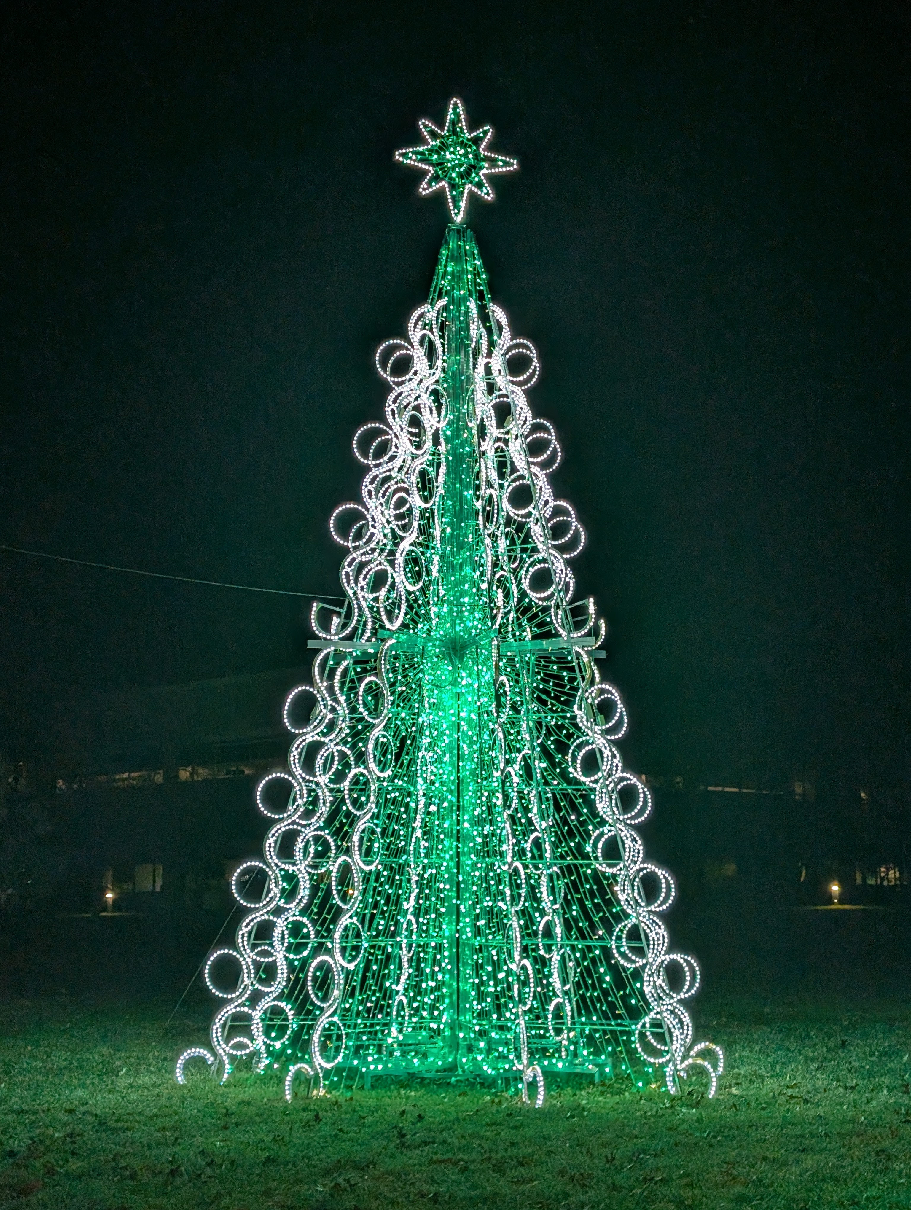 PXL 20241222 014639251