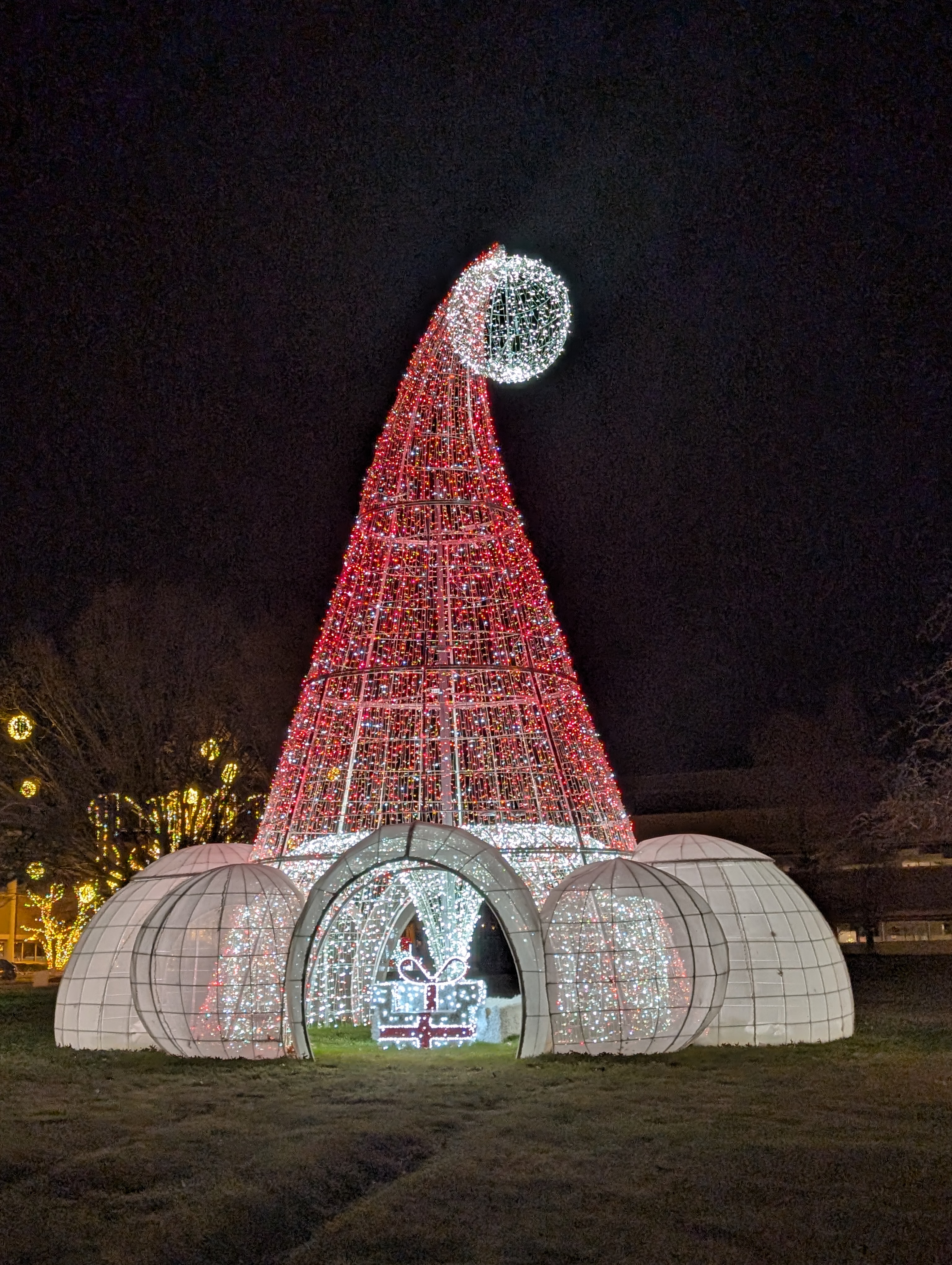 PXL 20241222 015035760