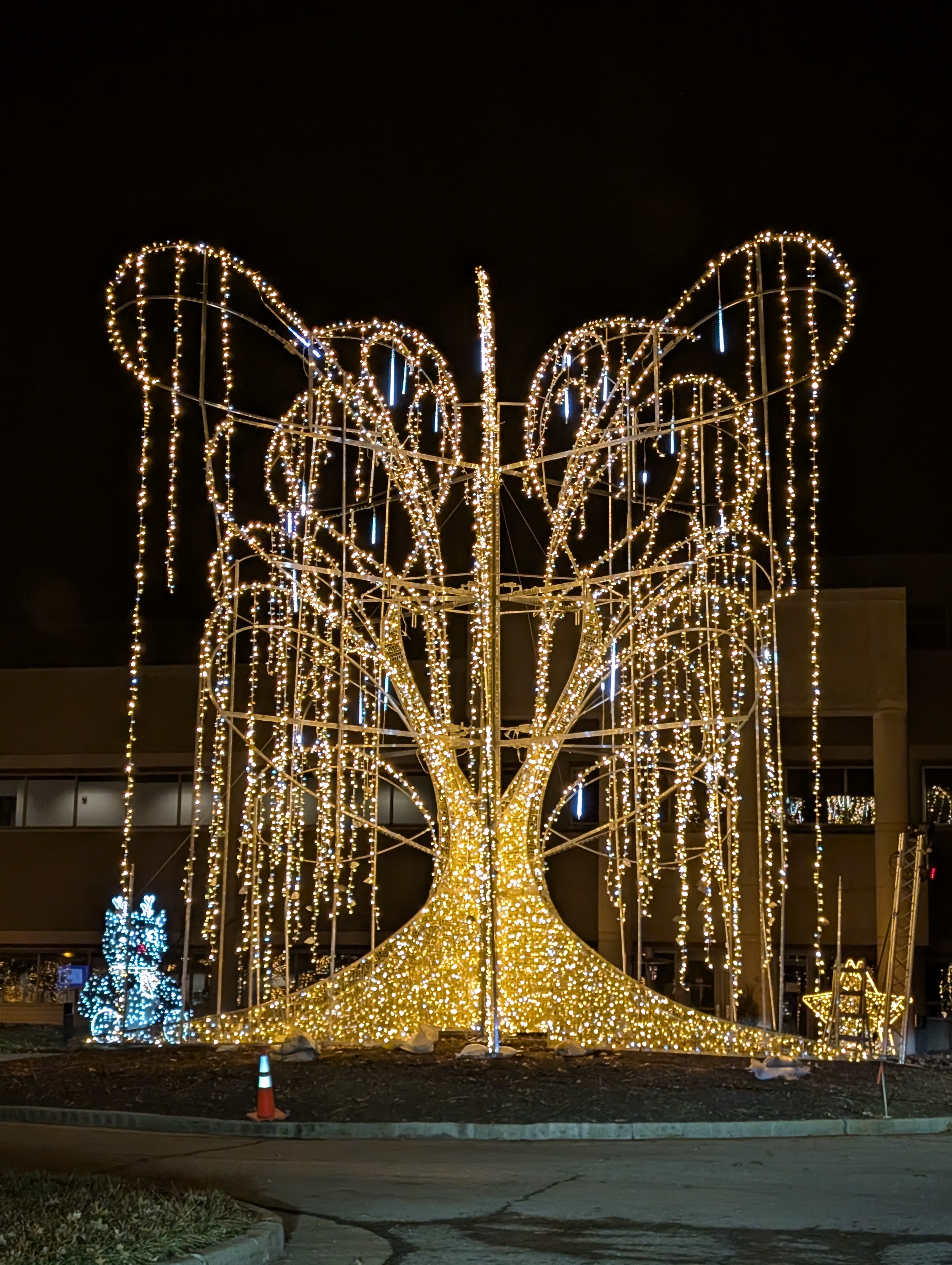 PXL 20241222 015149805