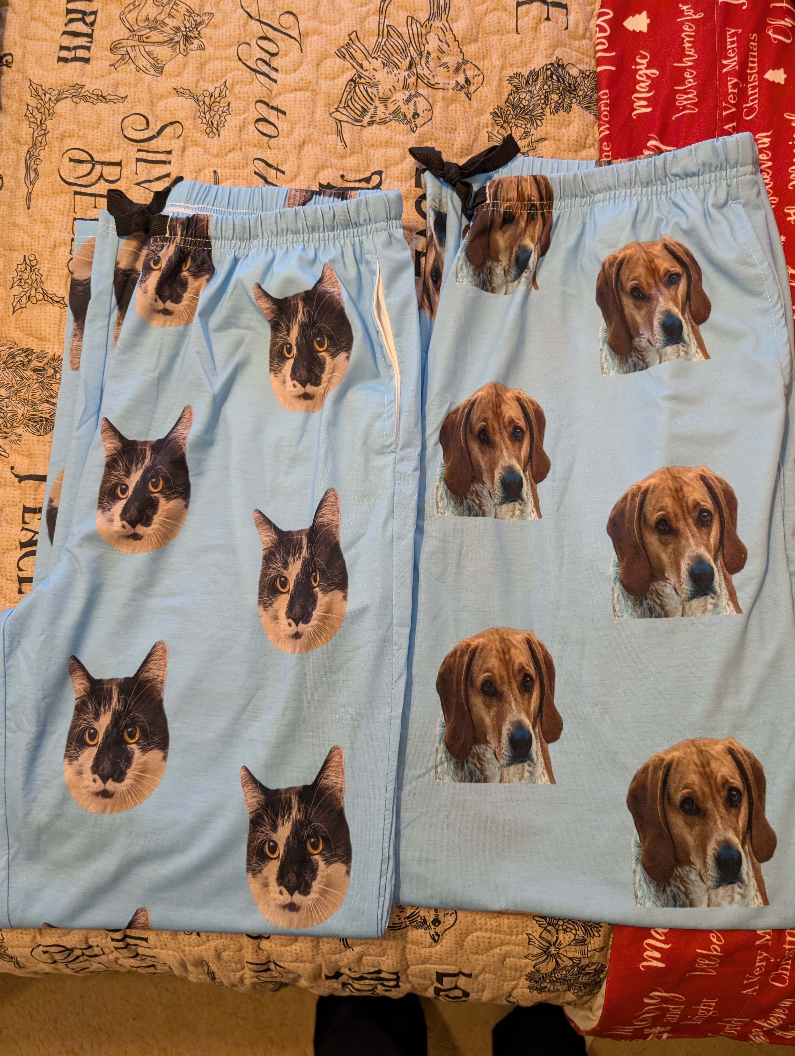 PXL 20241223 214303079