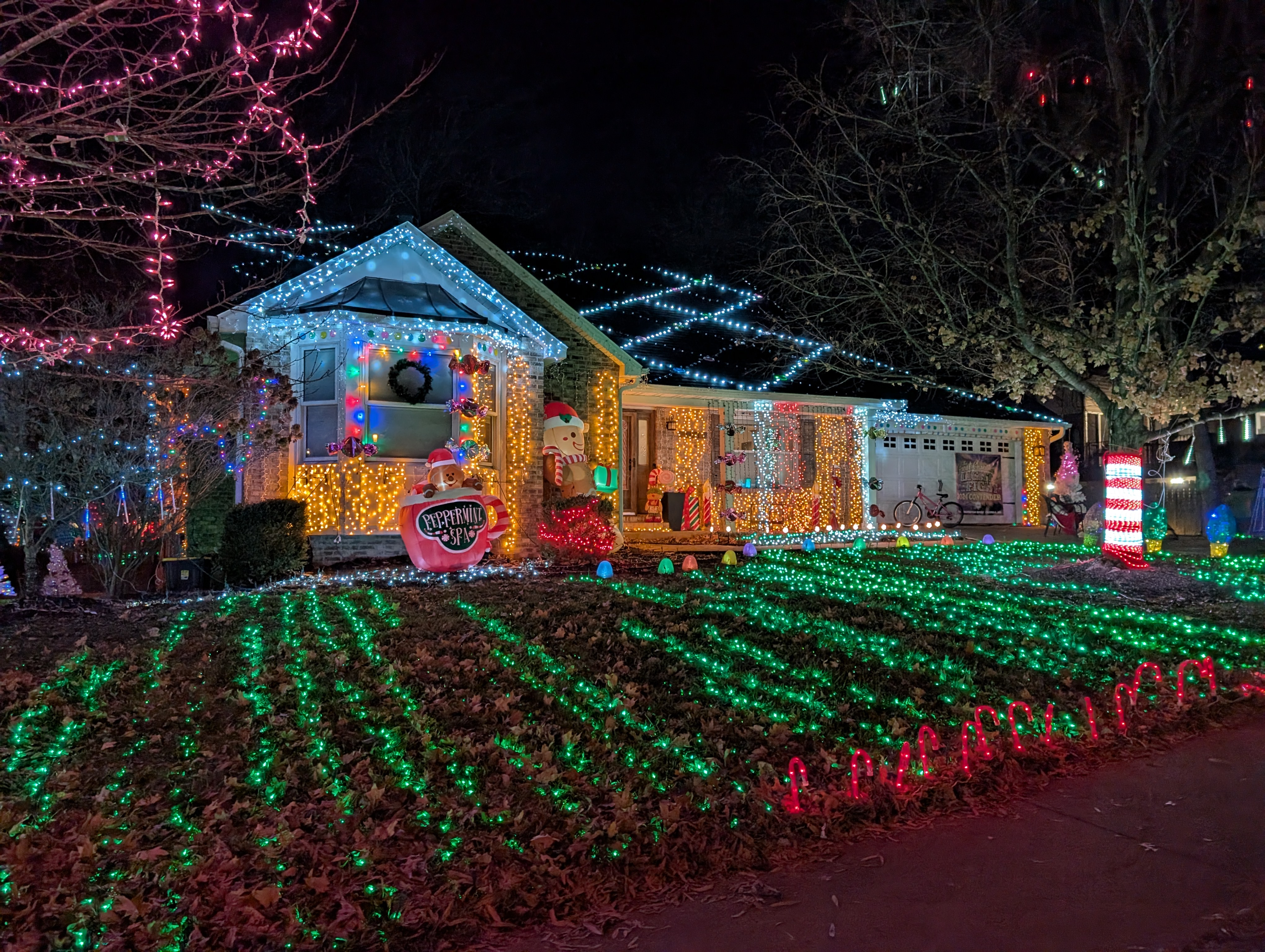 PXL 20241224 012402133