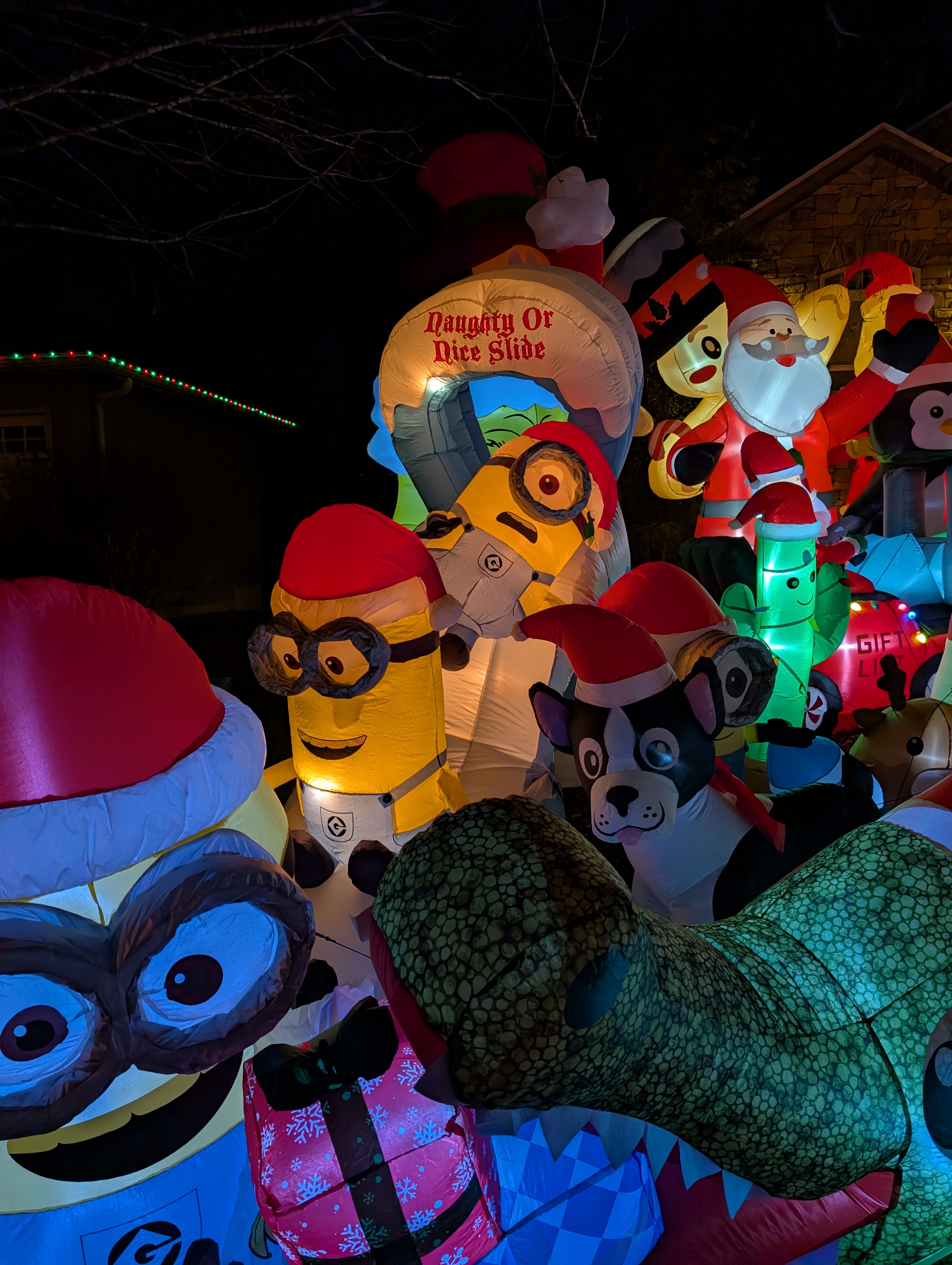 PXL 20241224 013643743