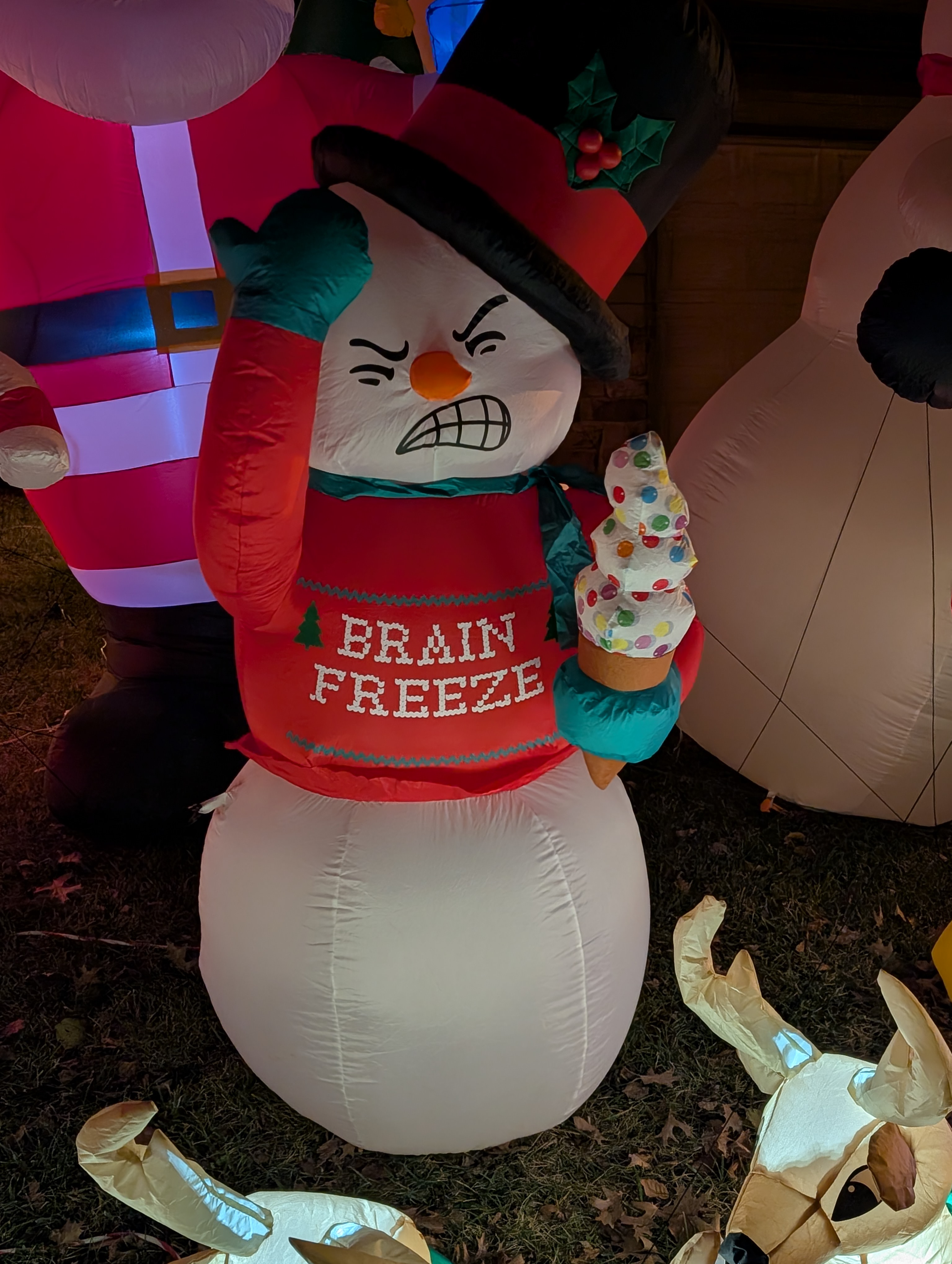 PXL 20241224 013900721