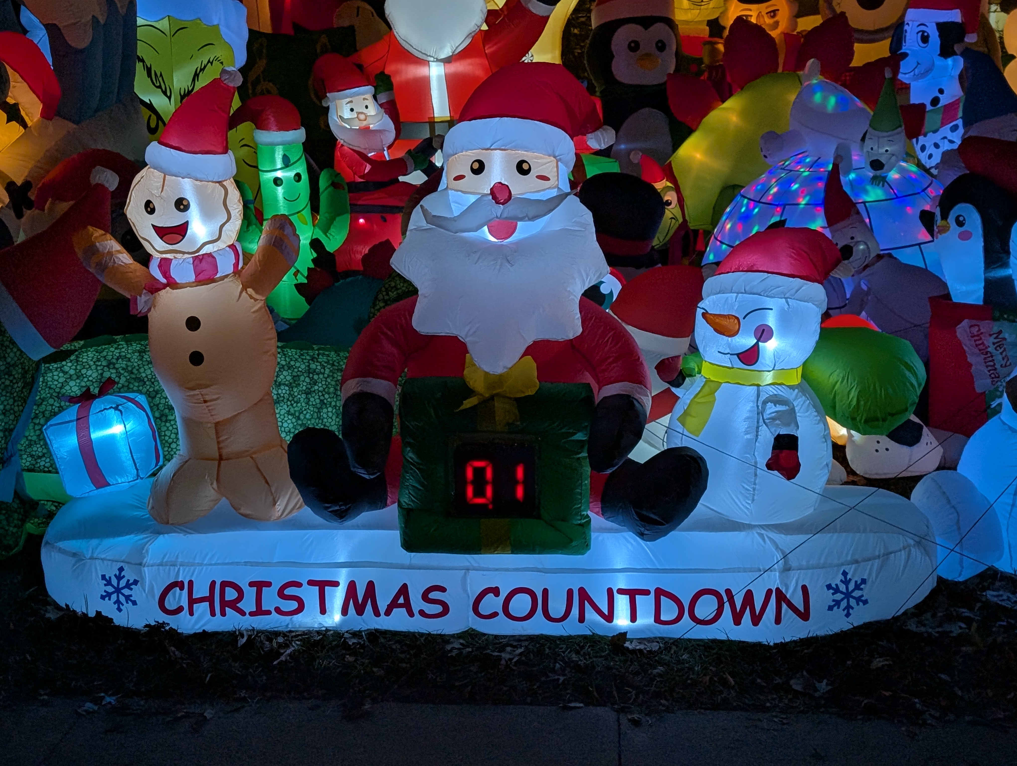 PXL 20241224 014045720