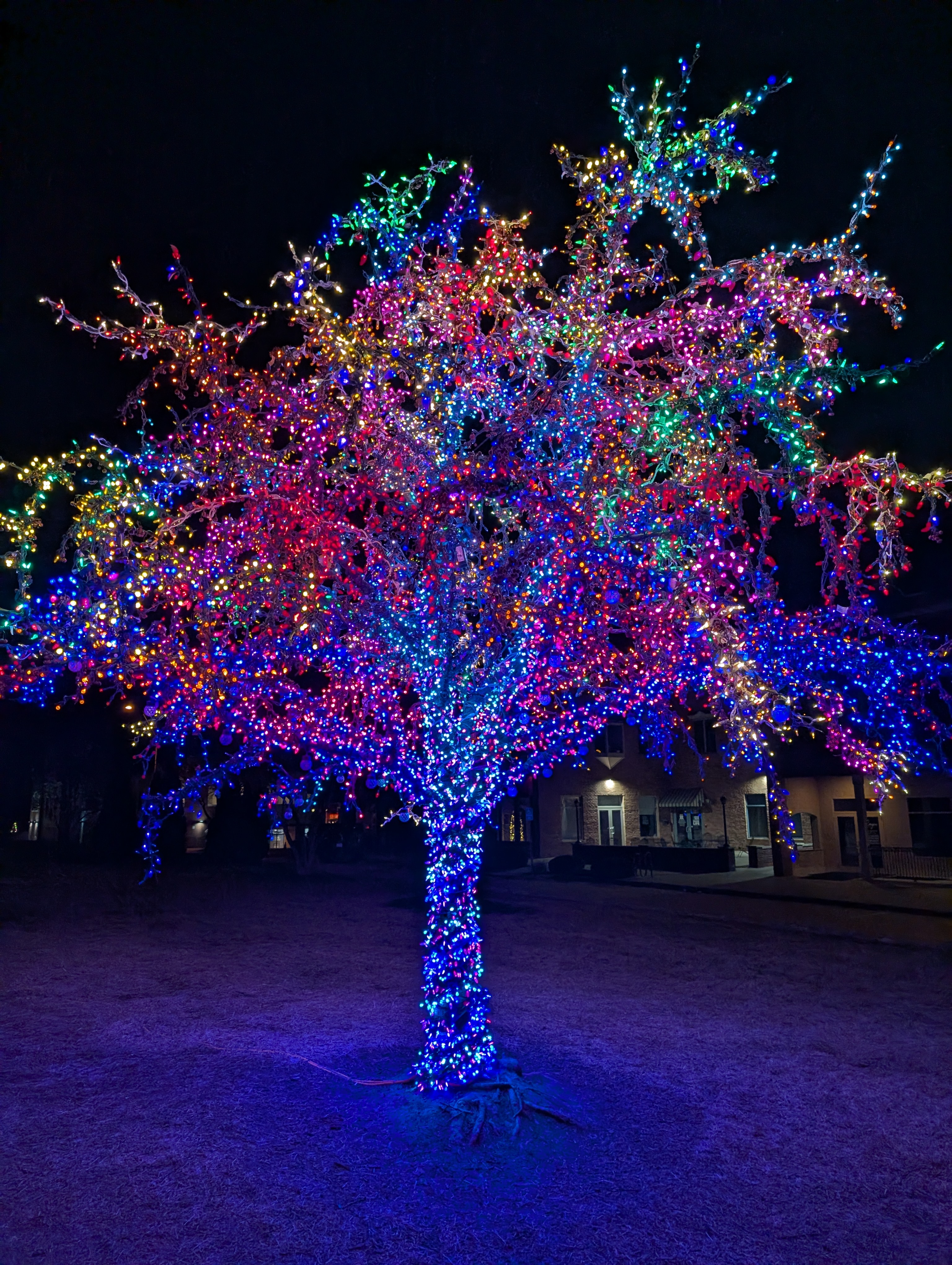 PXL 20241224 022217604