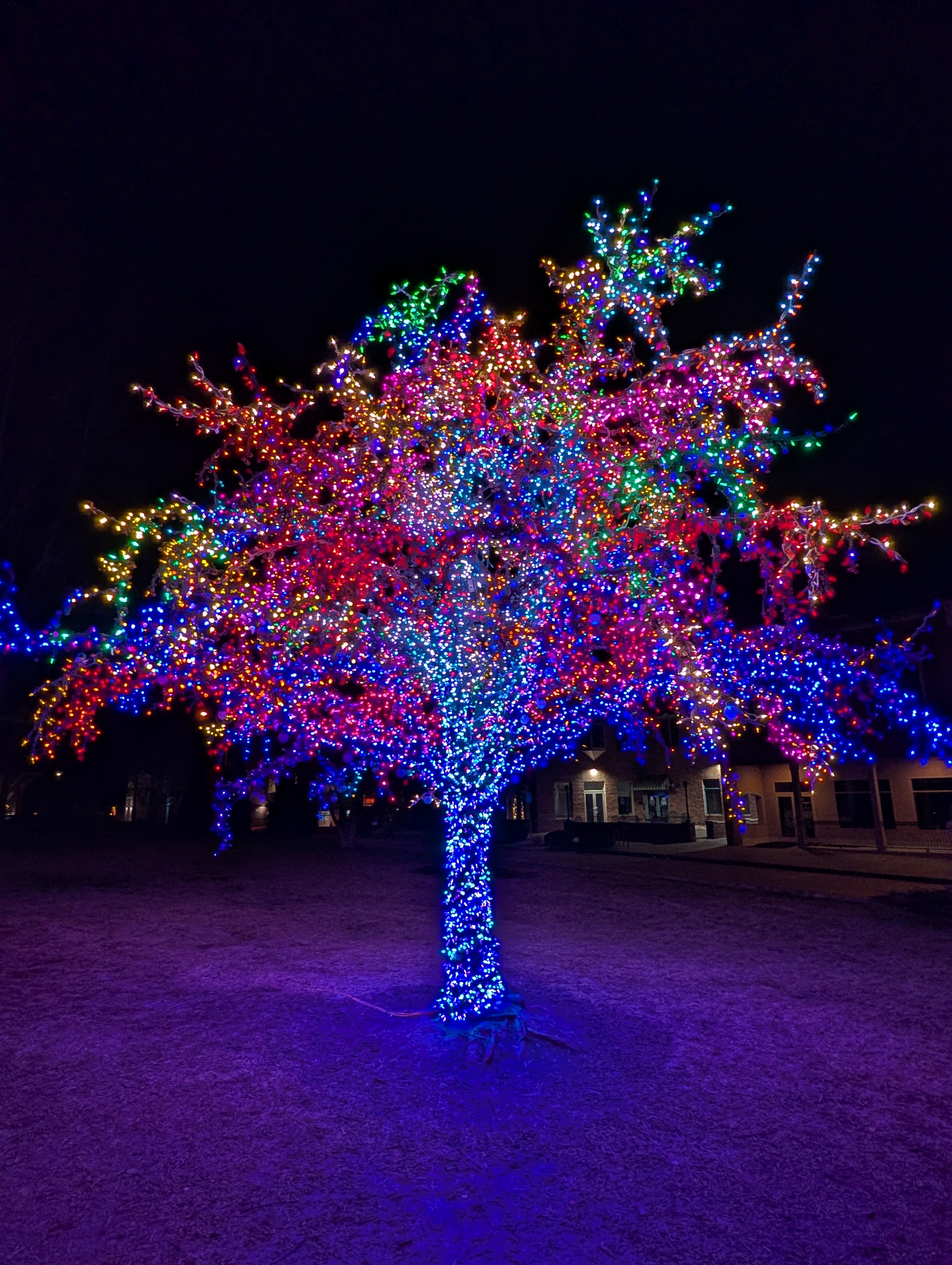 PXL 20241224 022221742