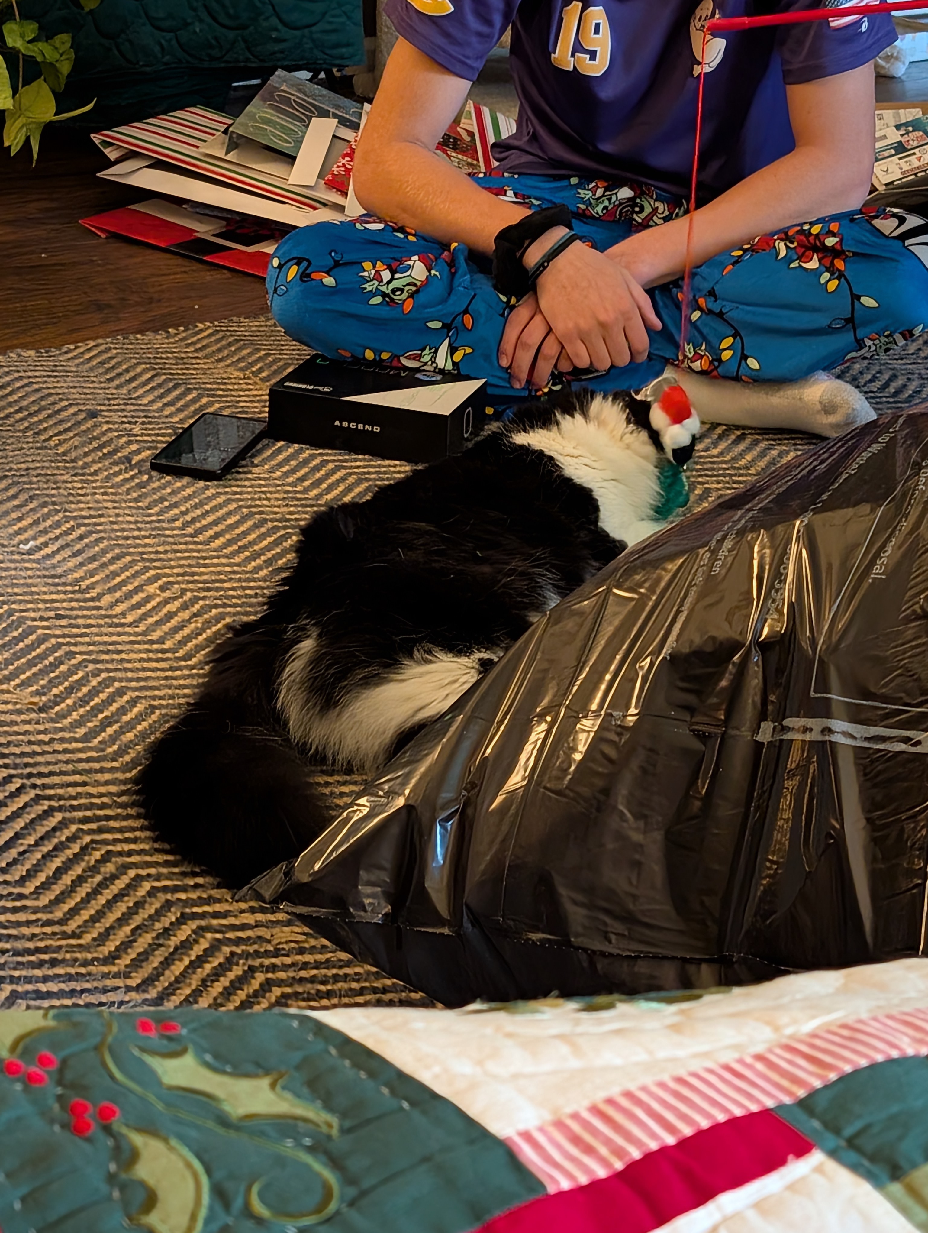 PXL 20241225 144549608