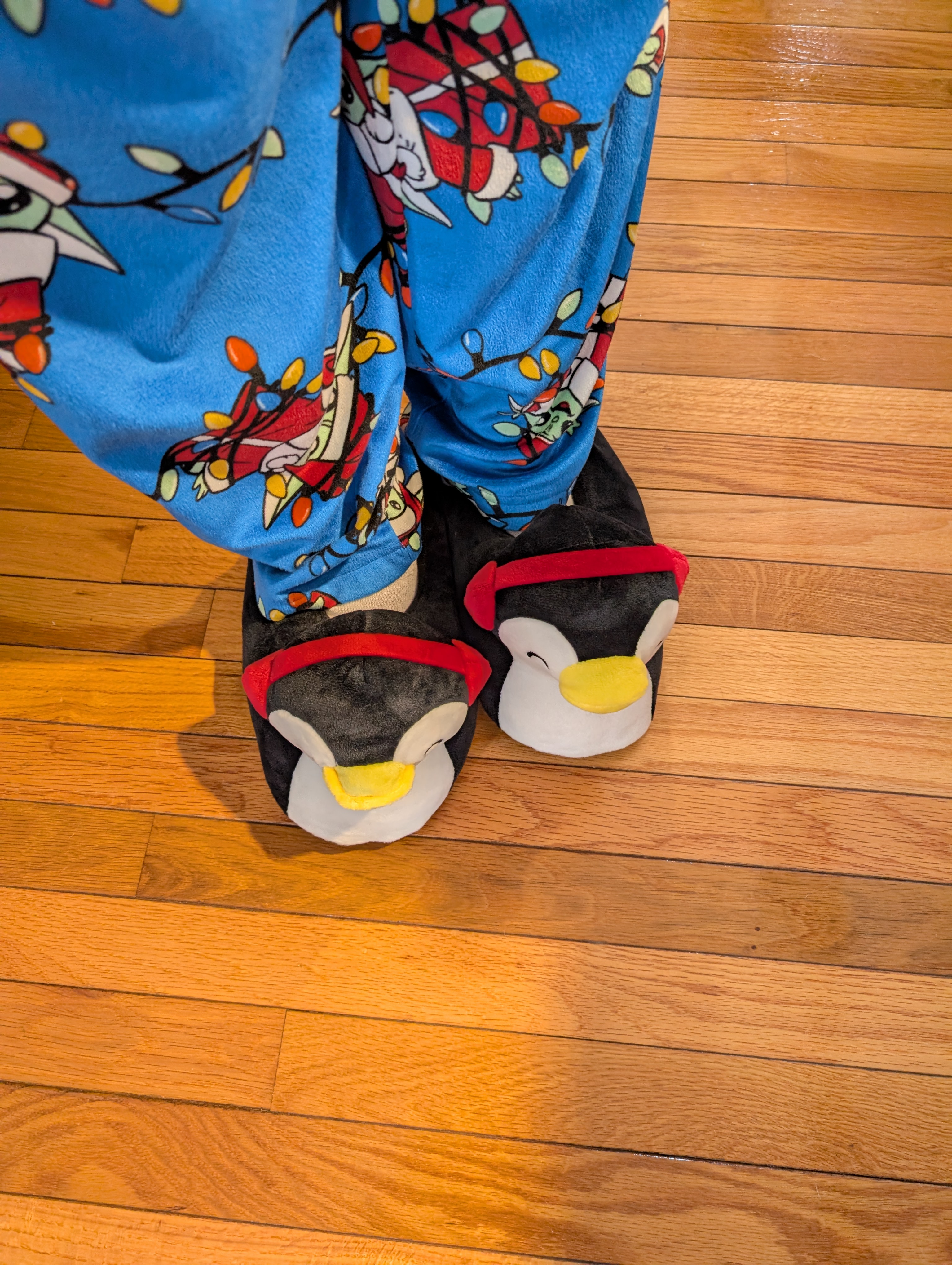 PXL 20241225 174851812