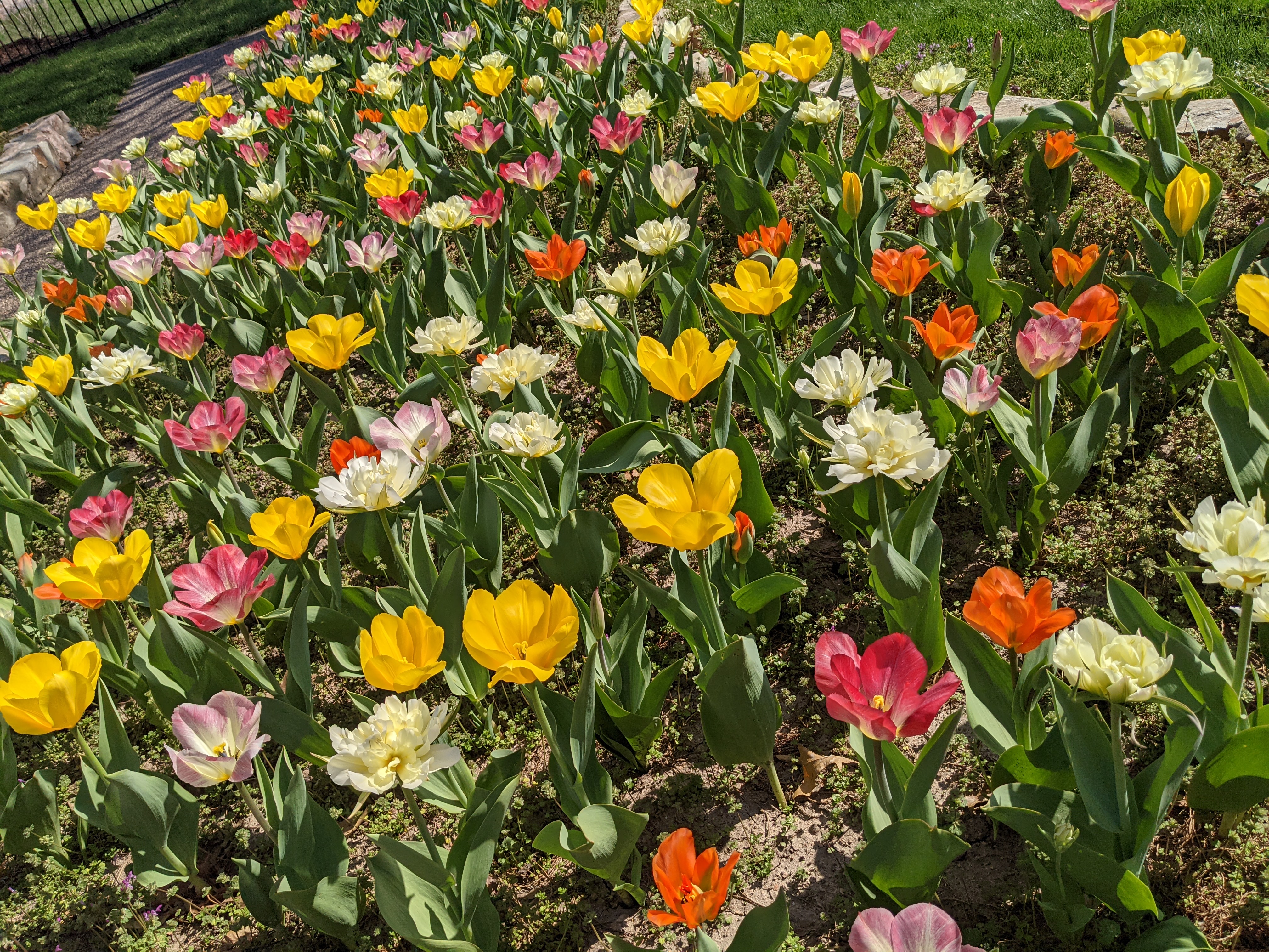 PXL 20210404 204132922