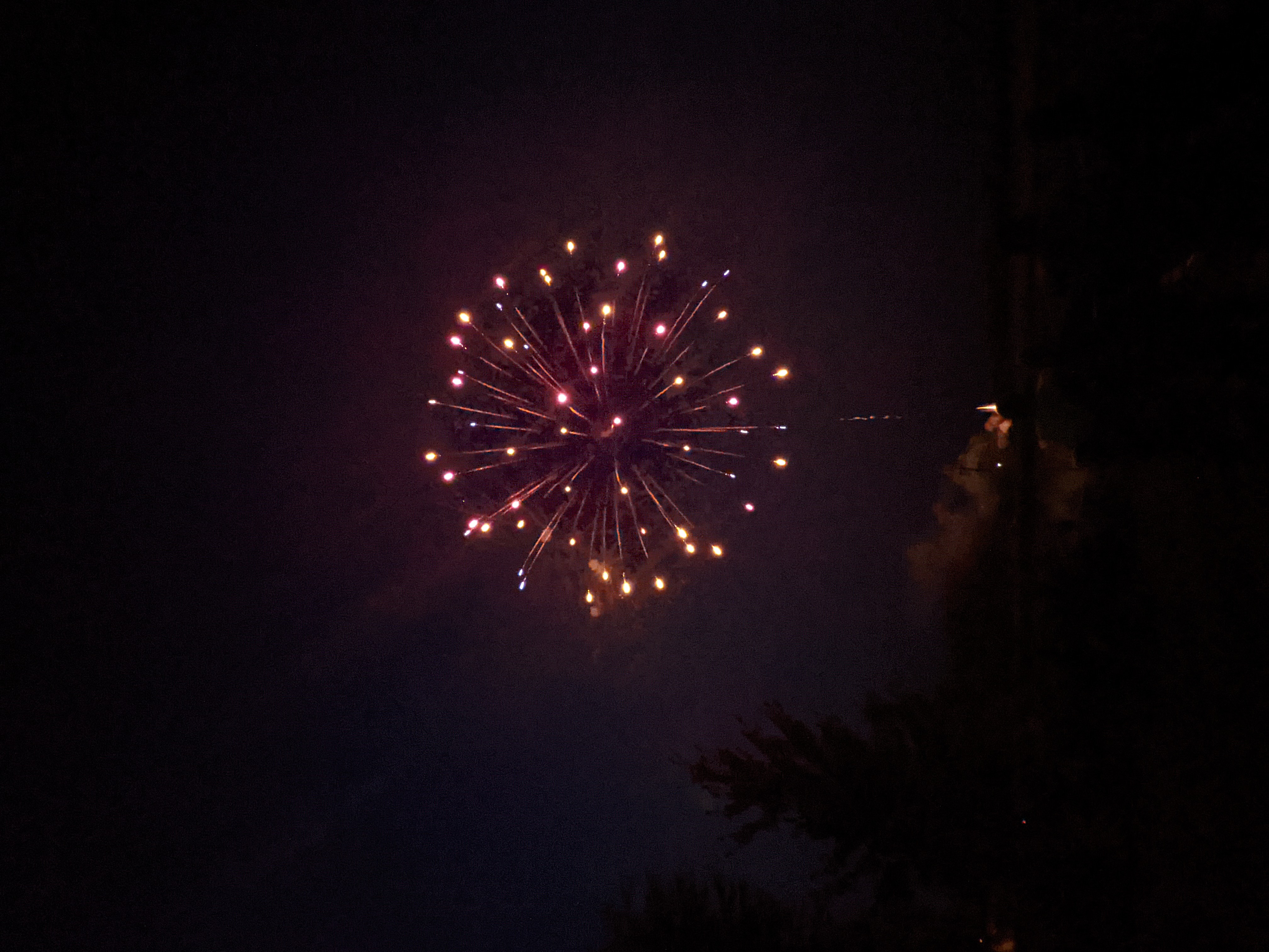 PXL 20210705 023004473