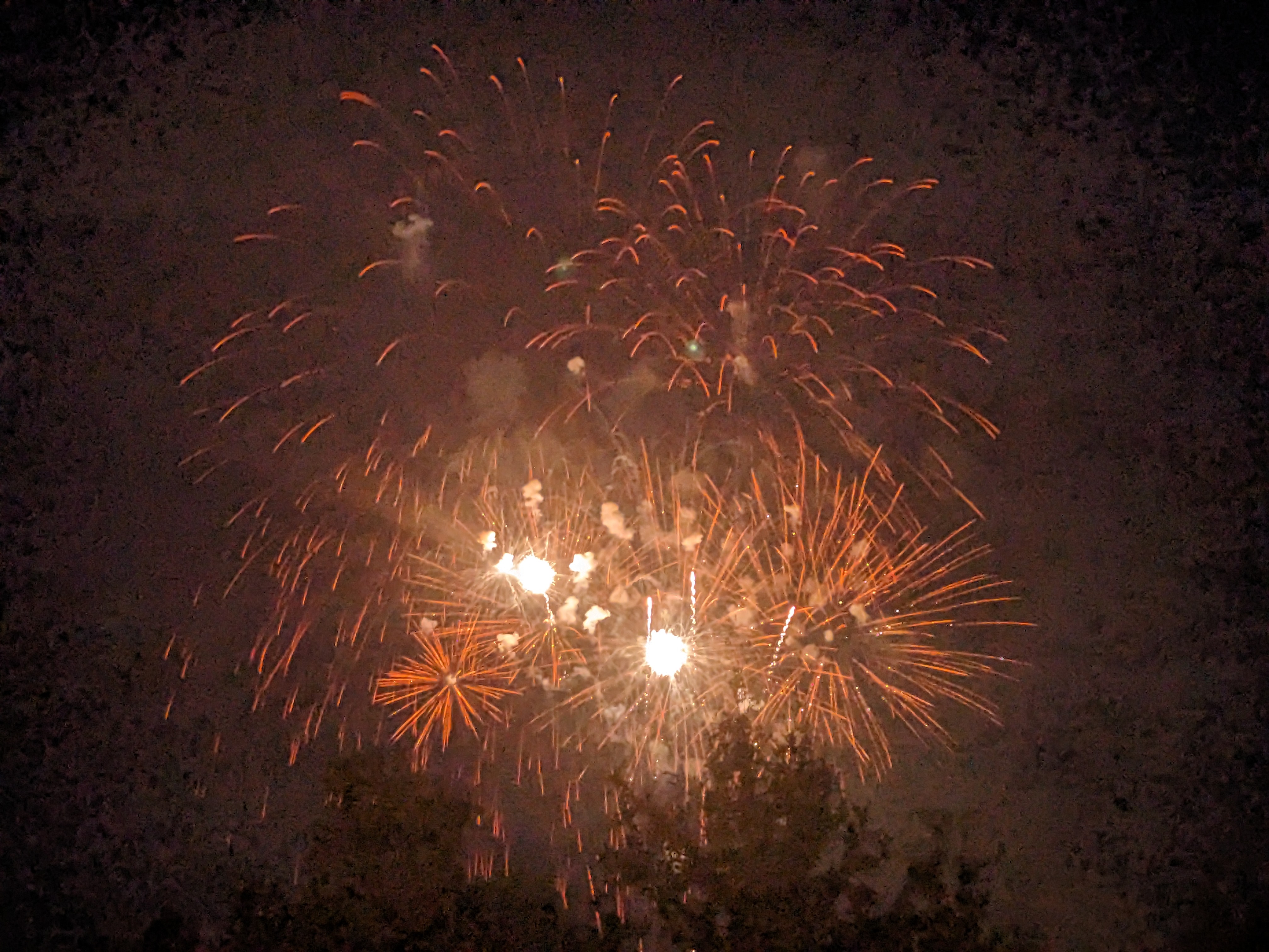 PXL 20240705 023242662