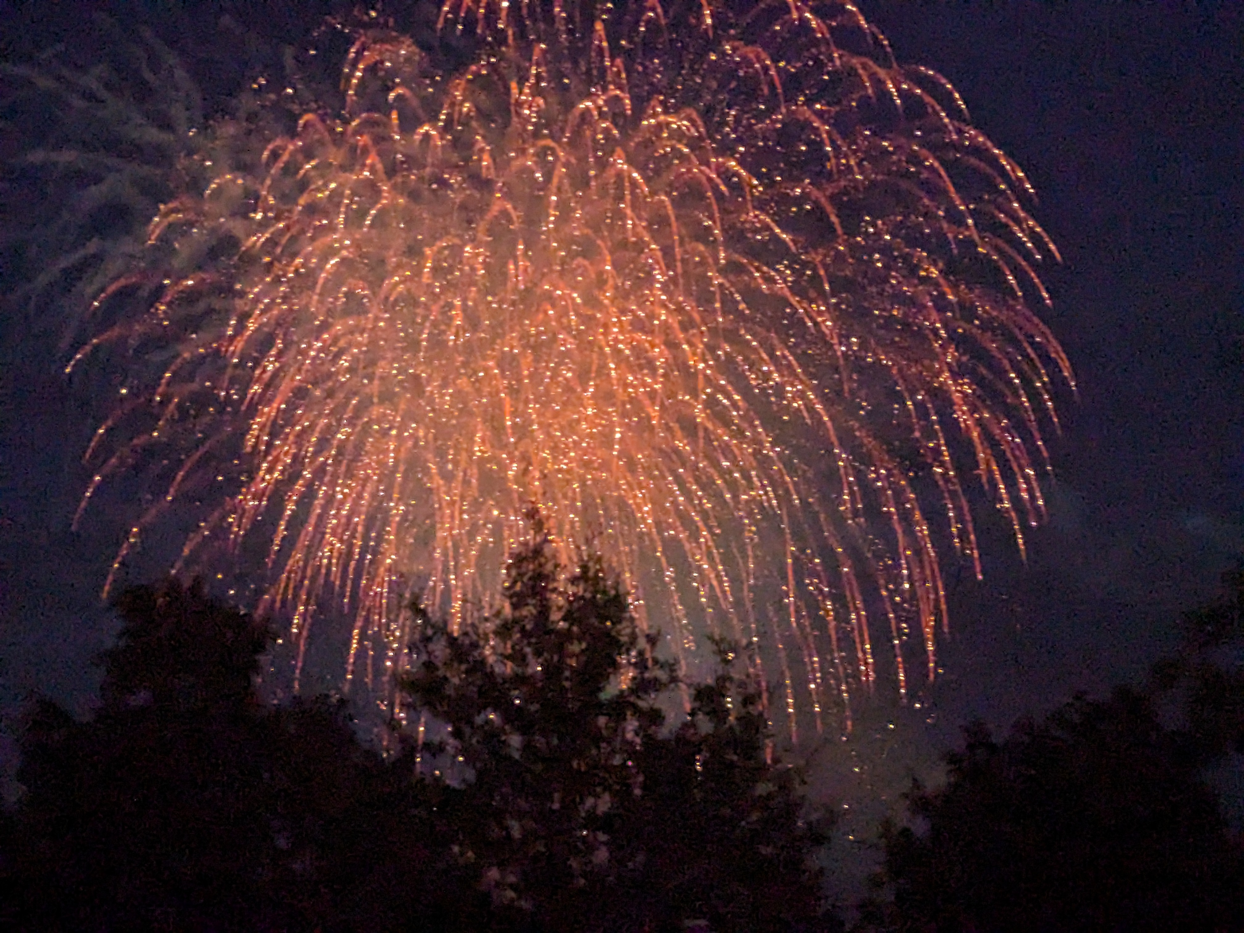 PXL 20240705 023400986