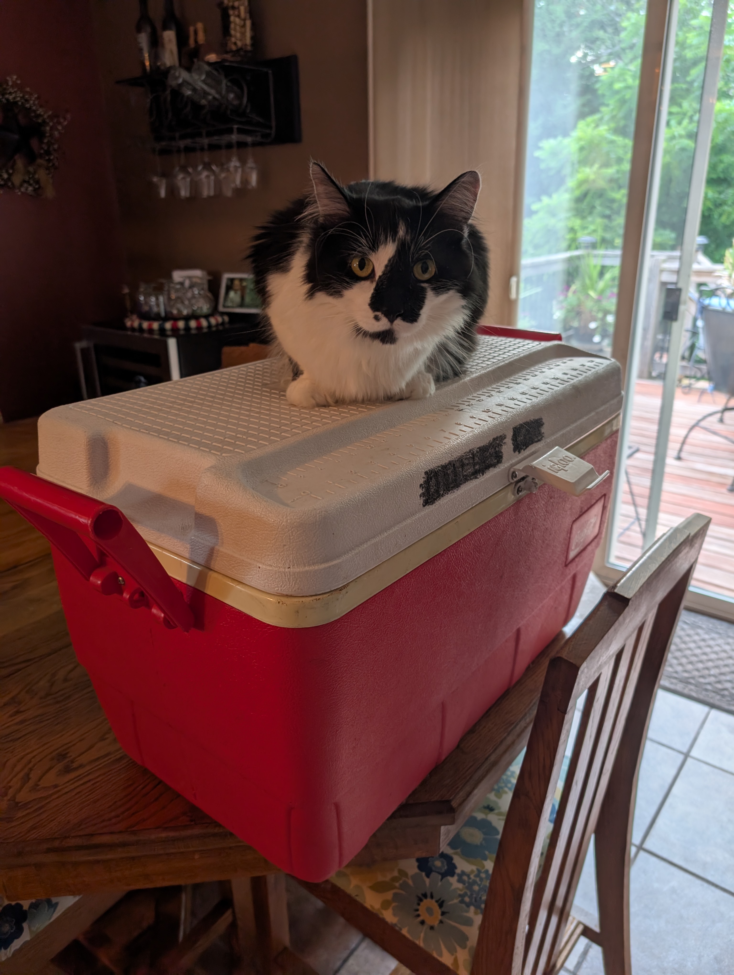 PXL 20250704 224420891