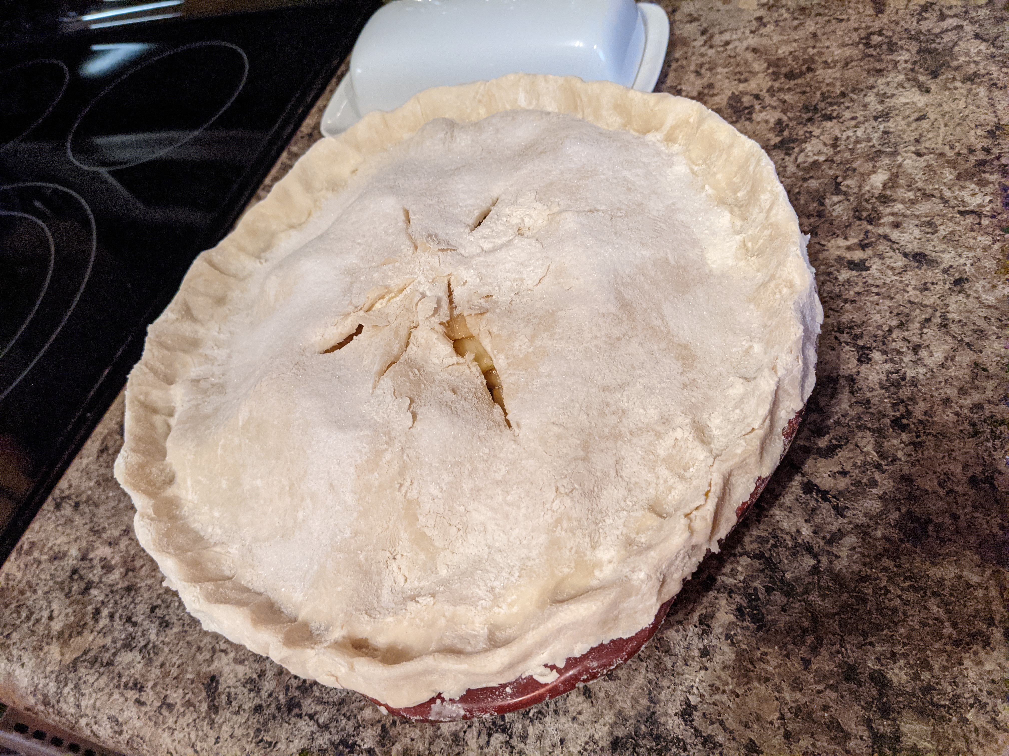 PXL 20201125 143004877