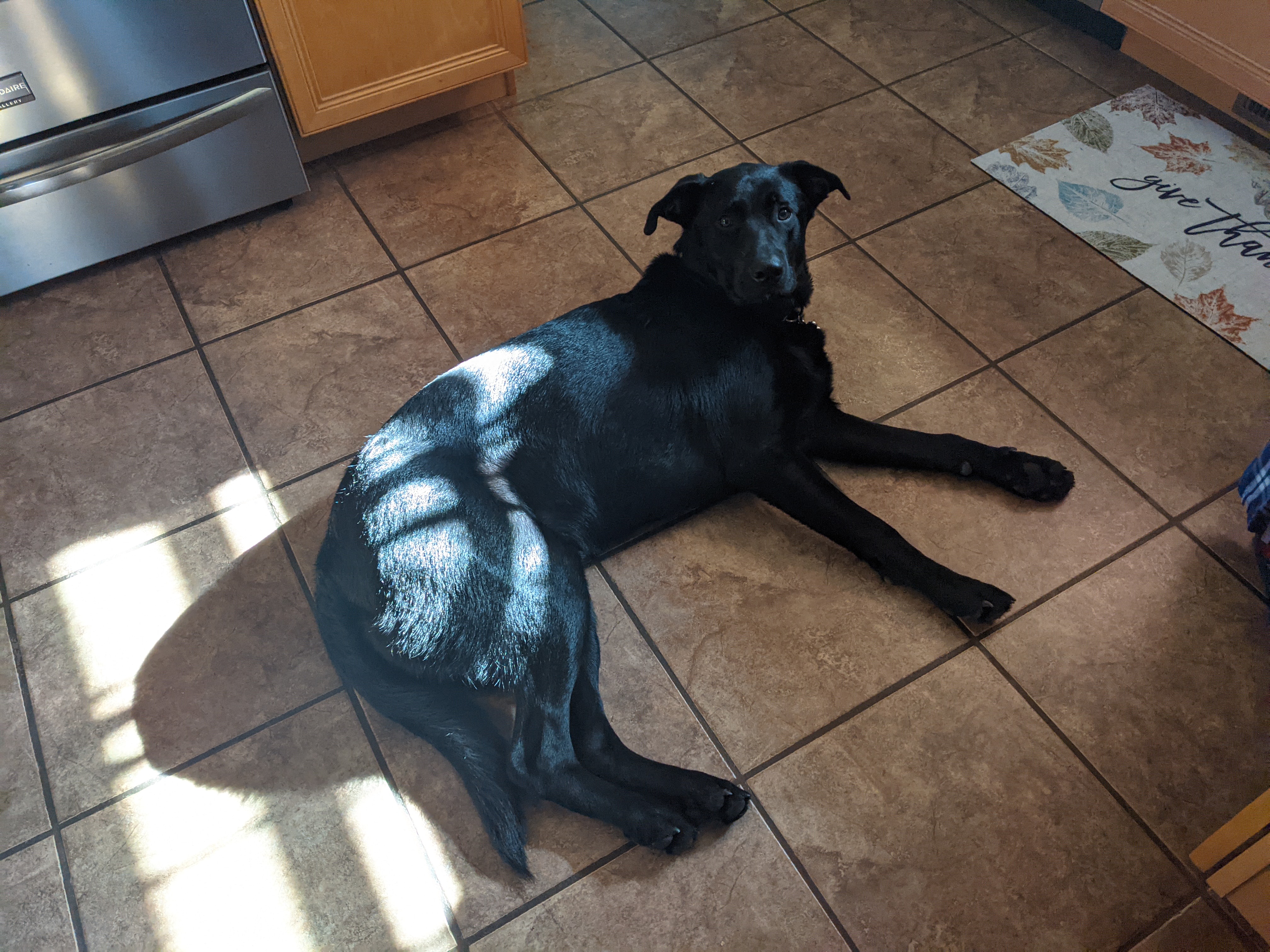 PXL 20201126 163945933