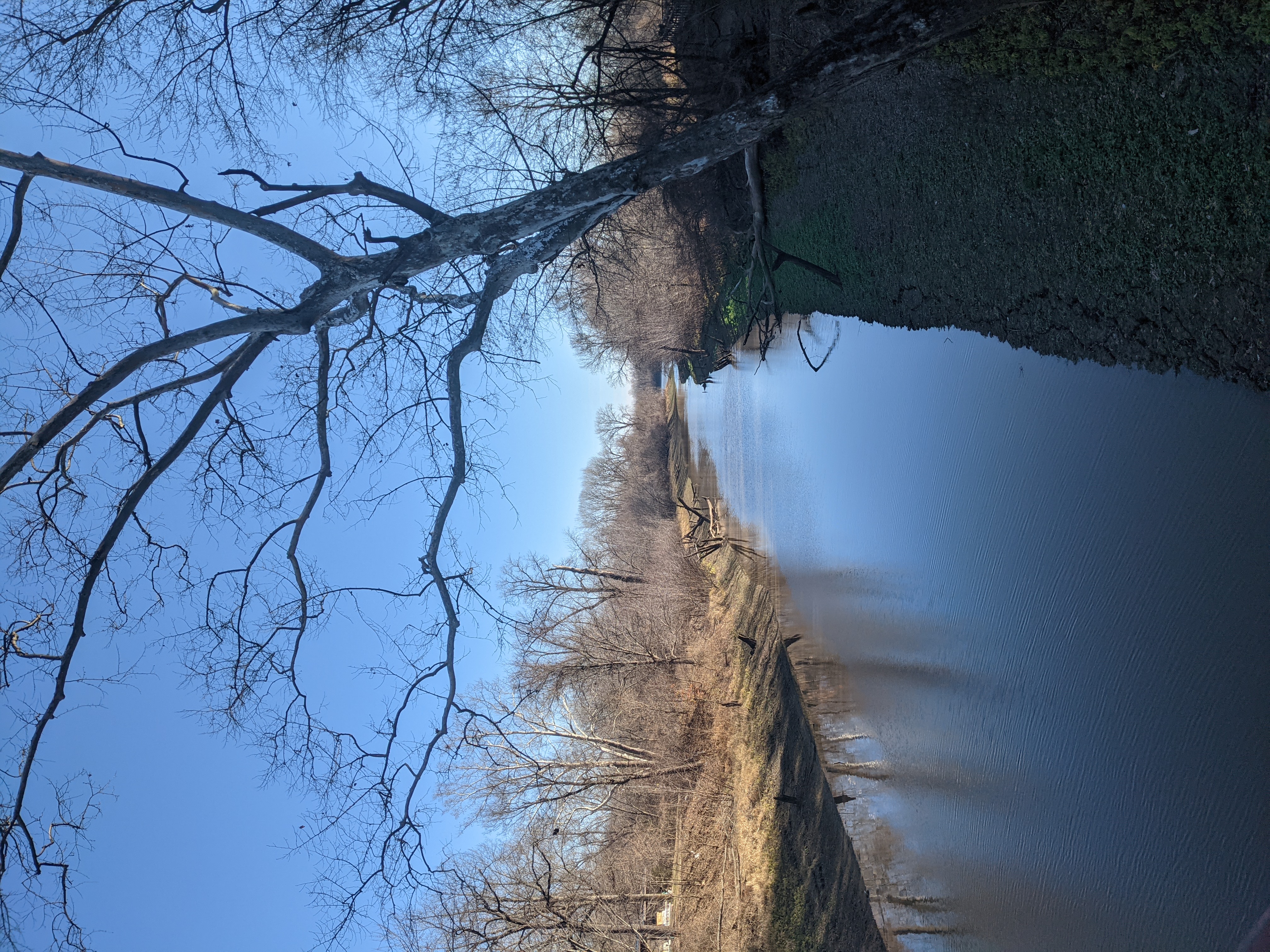 PXL 20201127 203346359