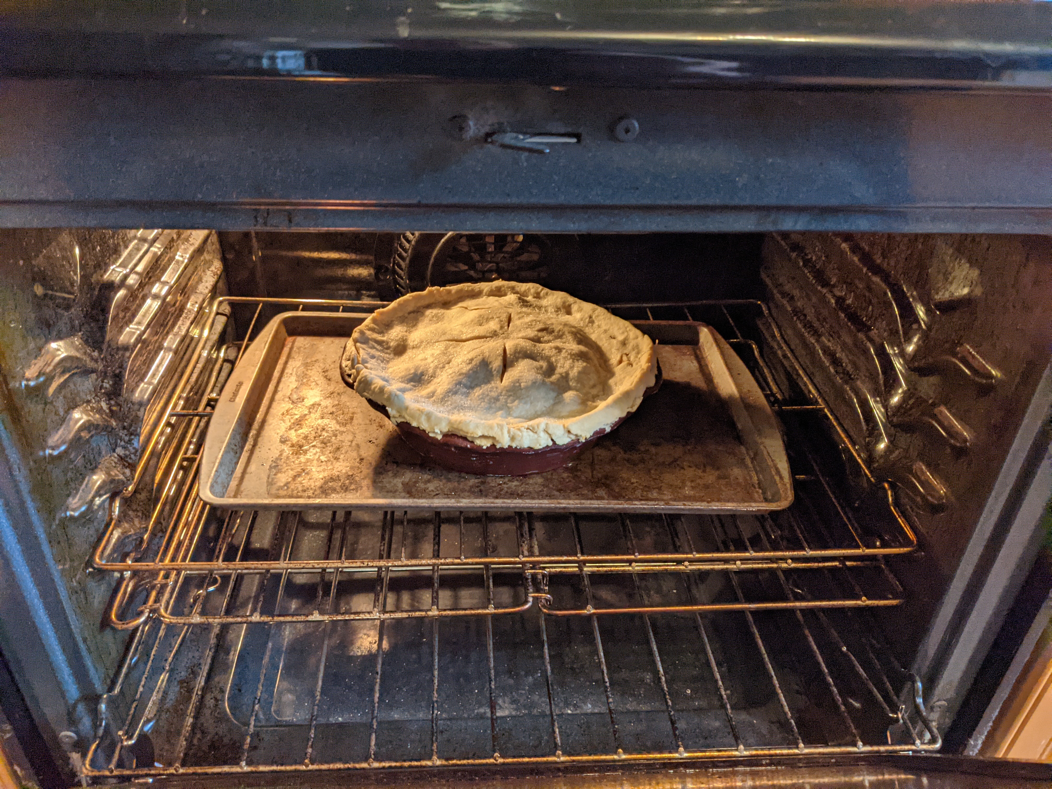 PXL 20211124 151718286