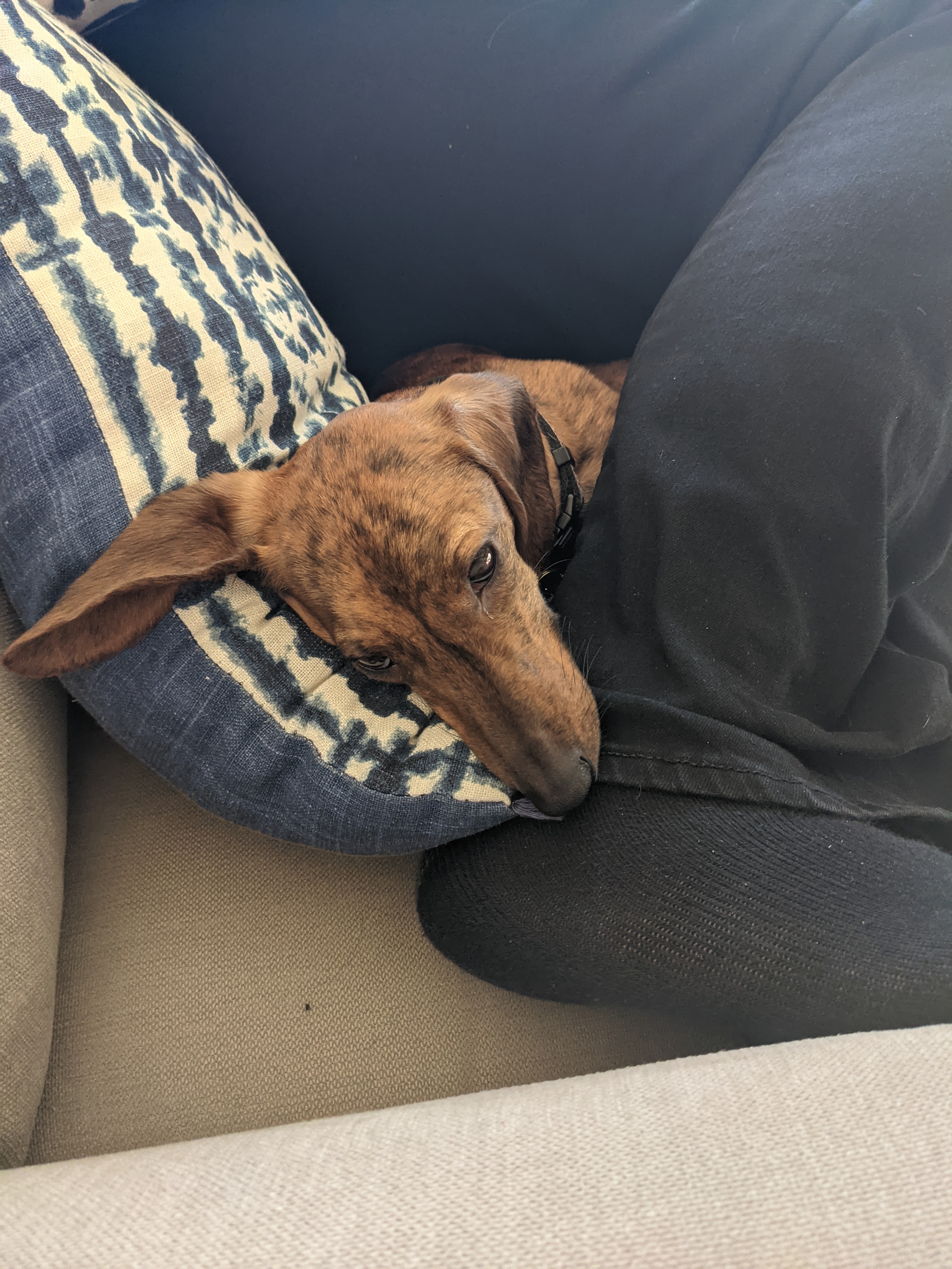 PXL 20211125 203720582