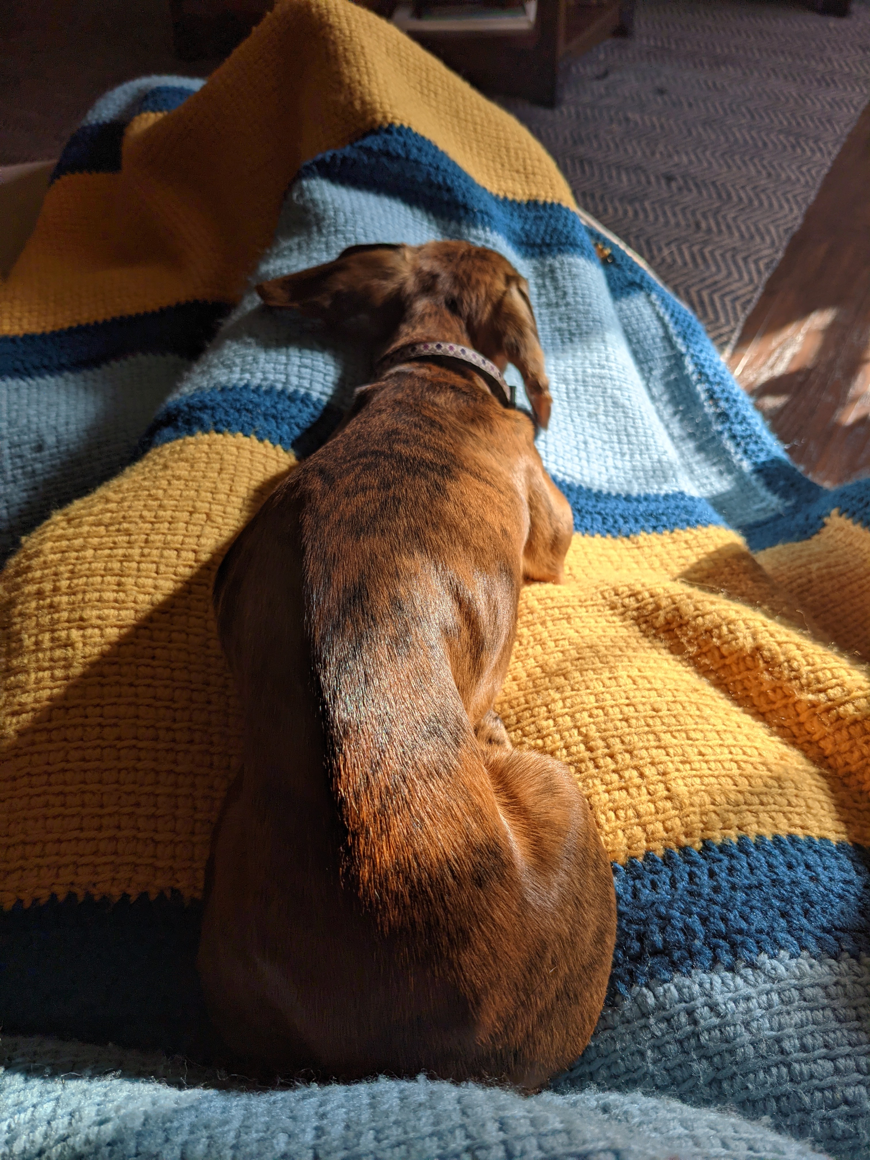 PXL 20211126 183044294