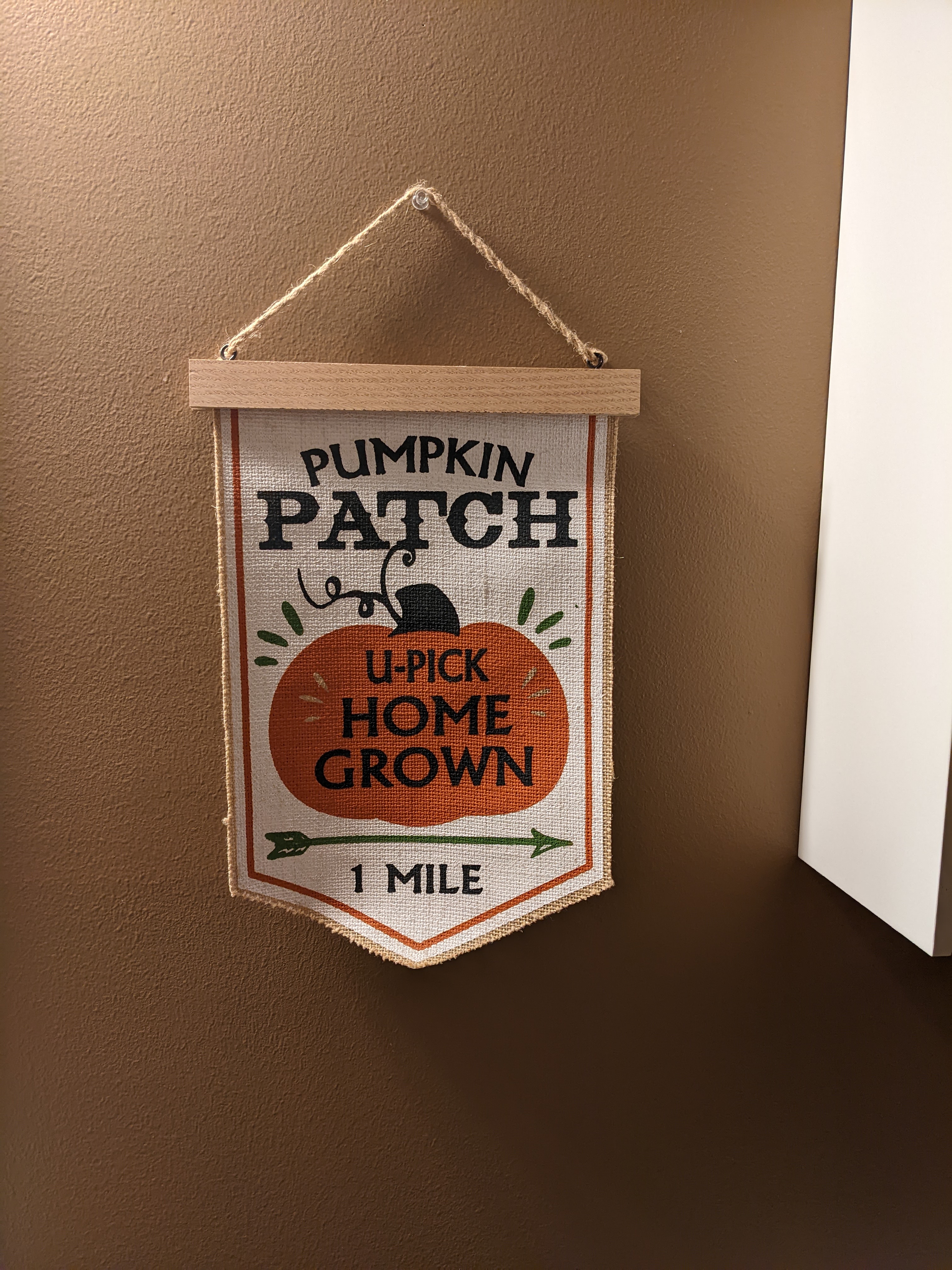 PXL 20221112 214025509