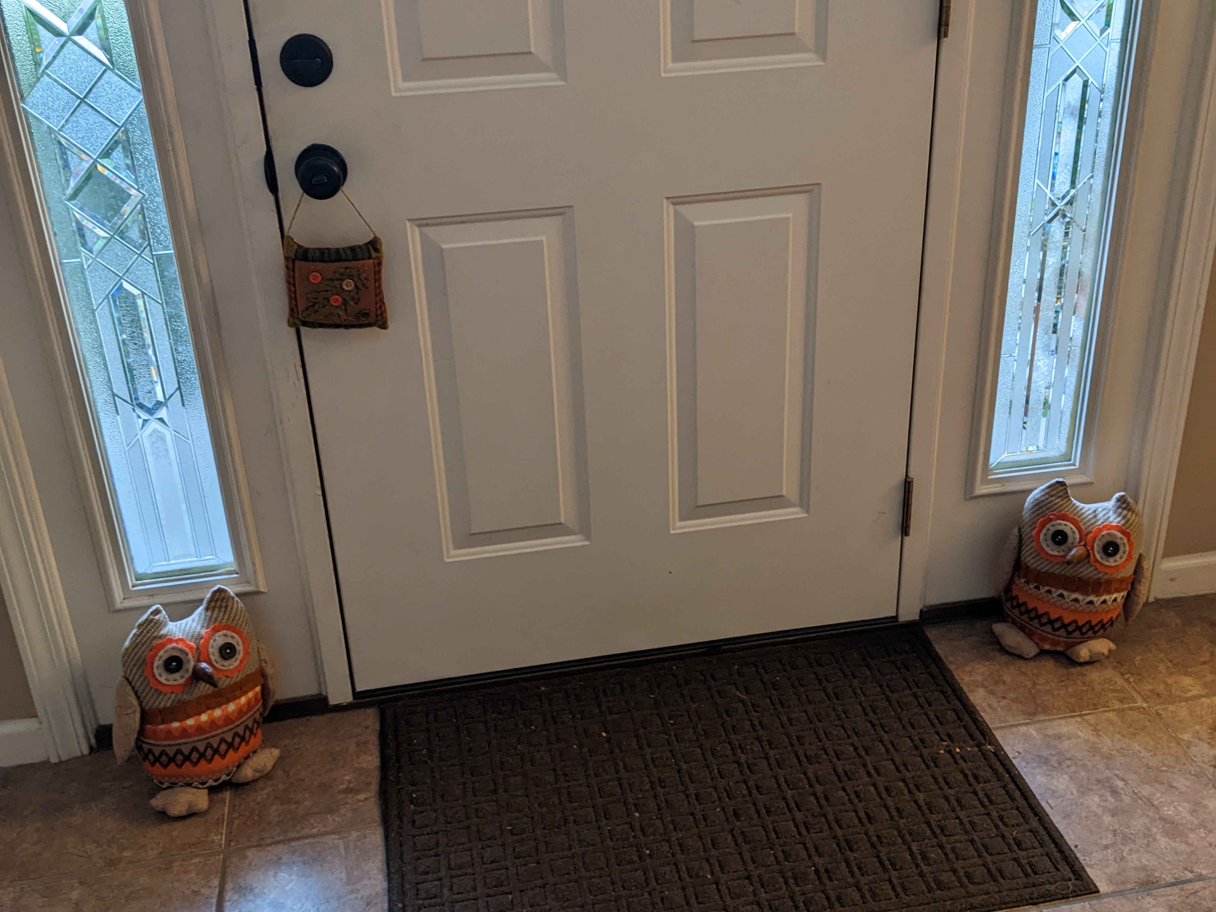 PXL 20221112 214109383