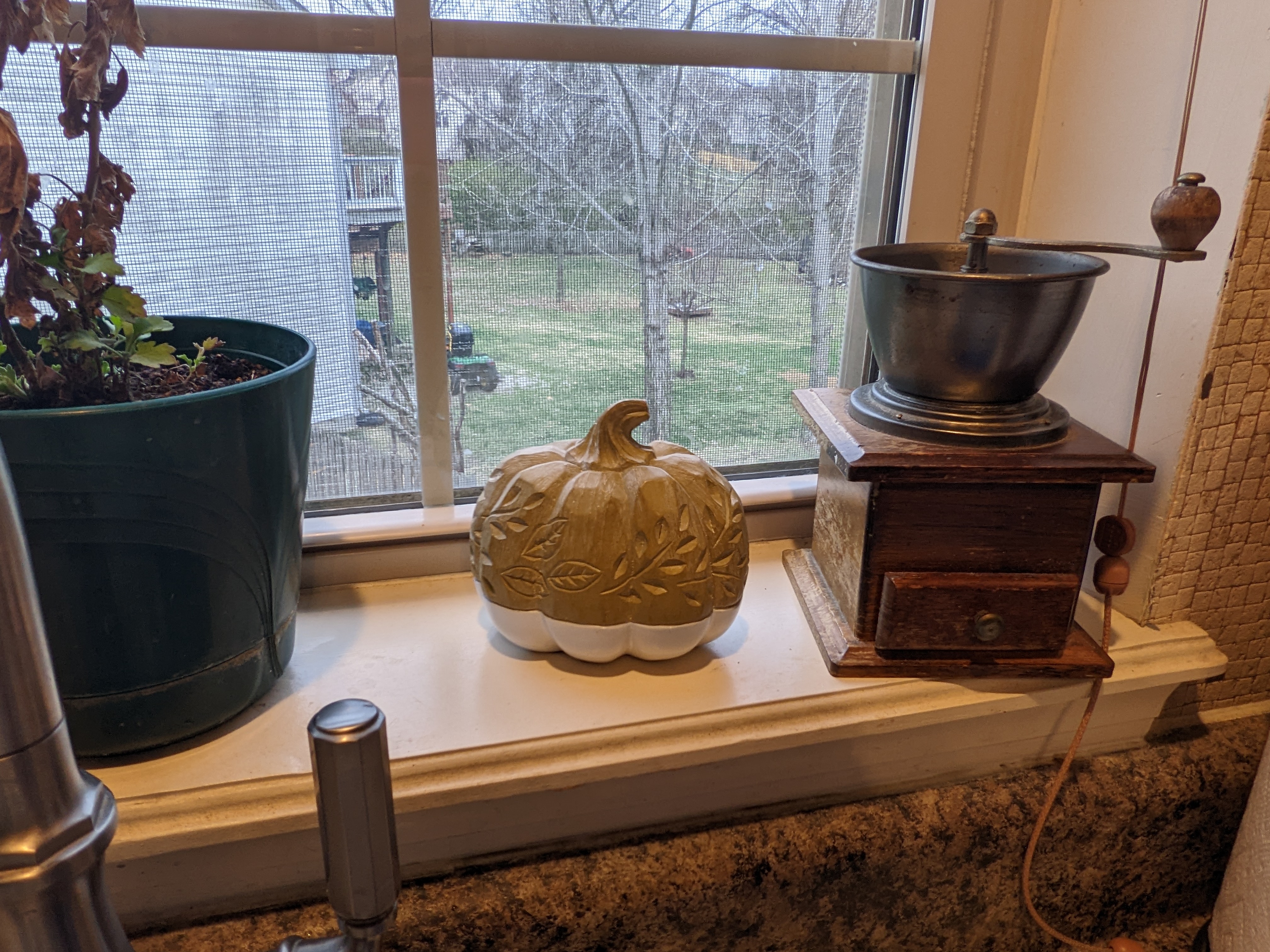 PXL 20221112 214150345