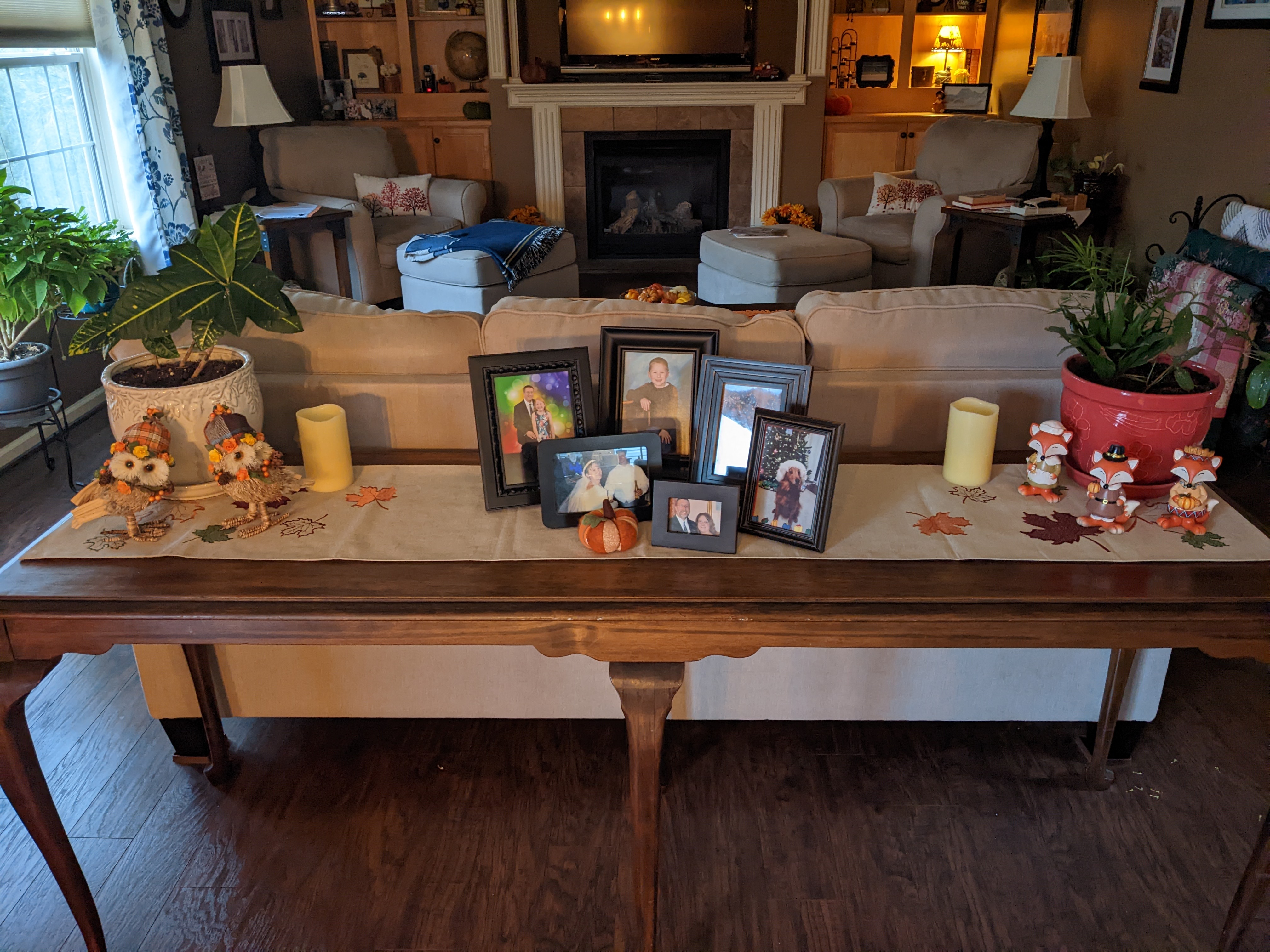 PXL 20221112 214409124