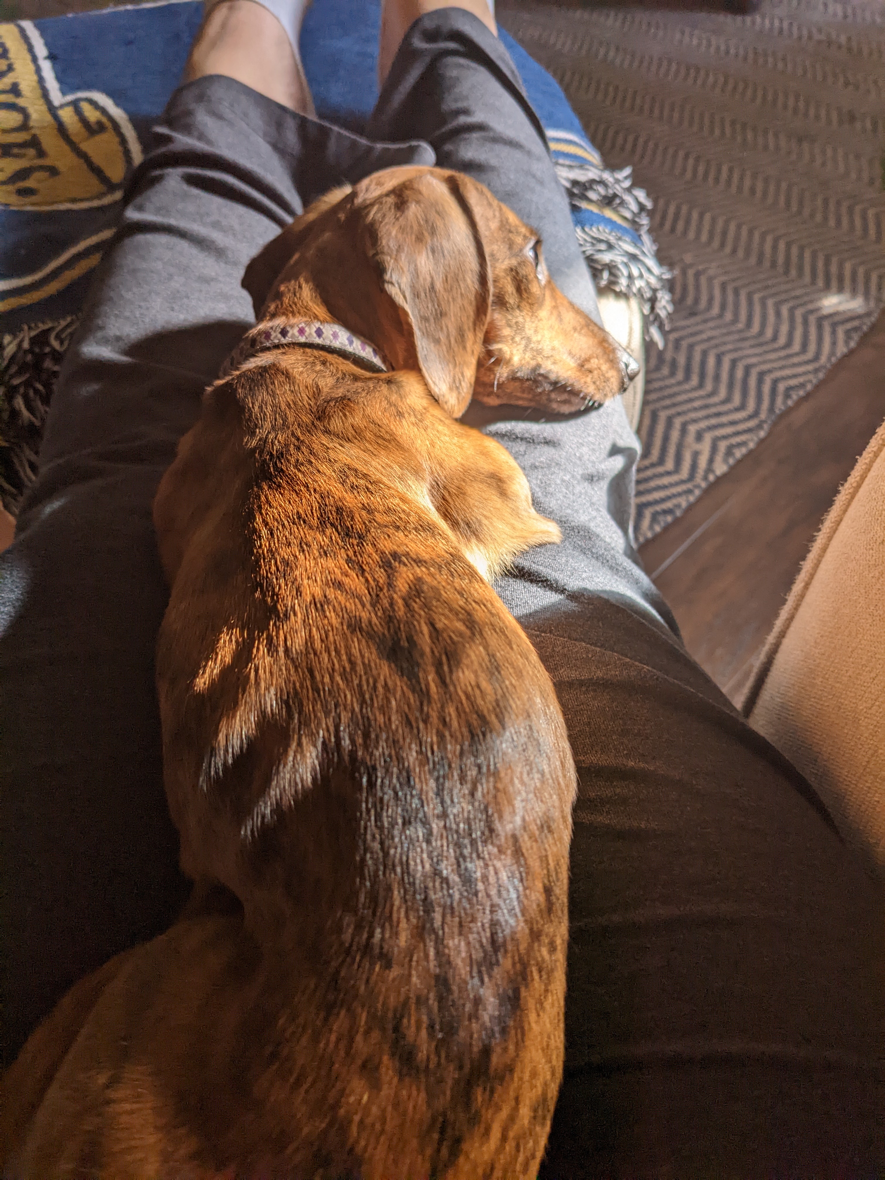 PXL 20221123 183641079