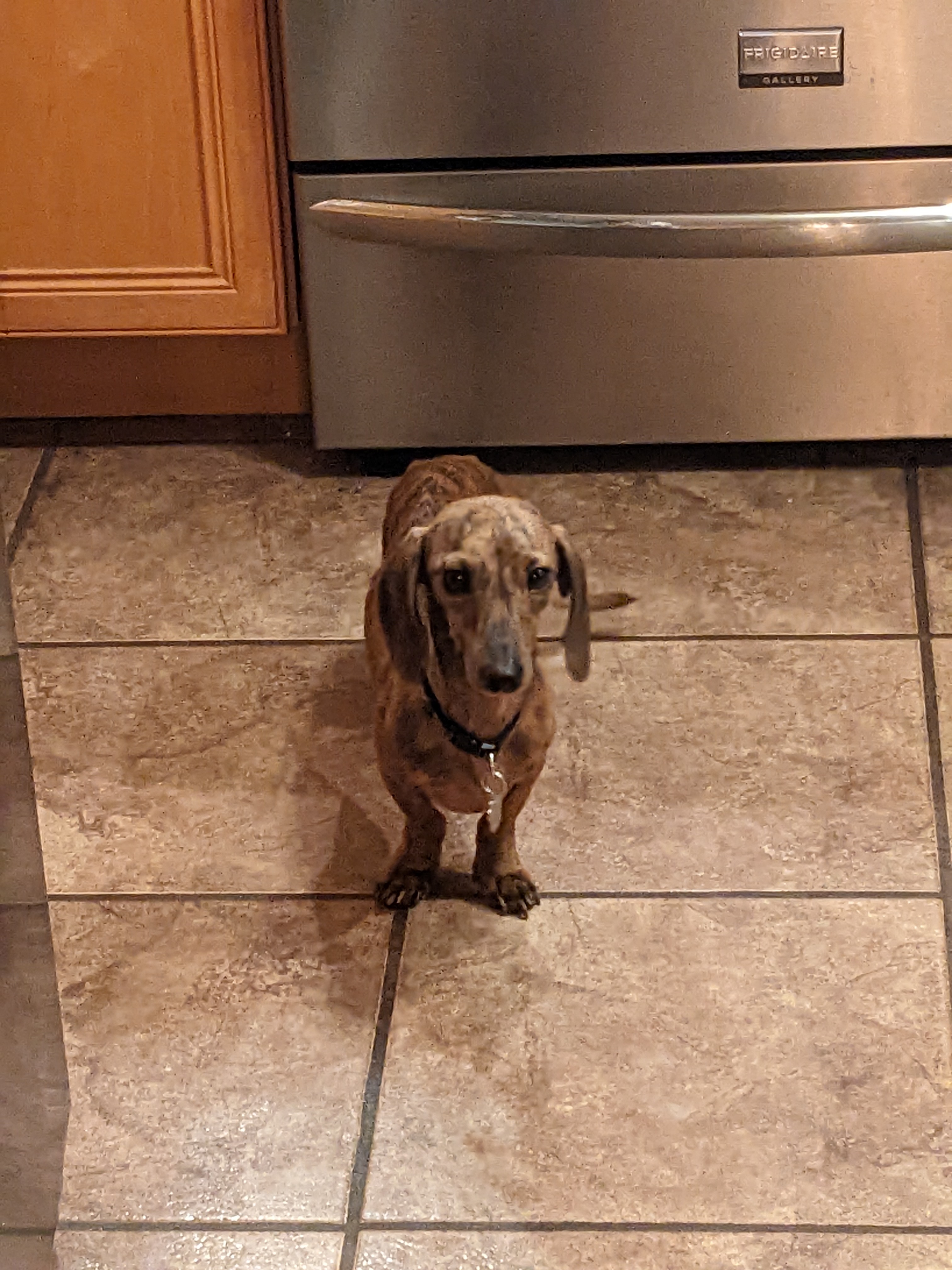 PXL 20221124 232522335