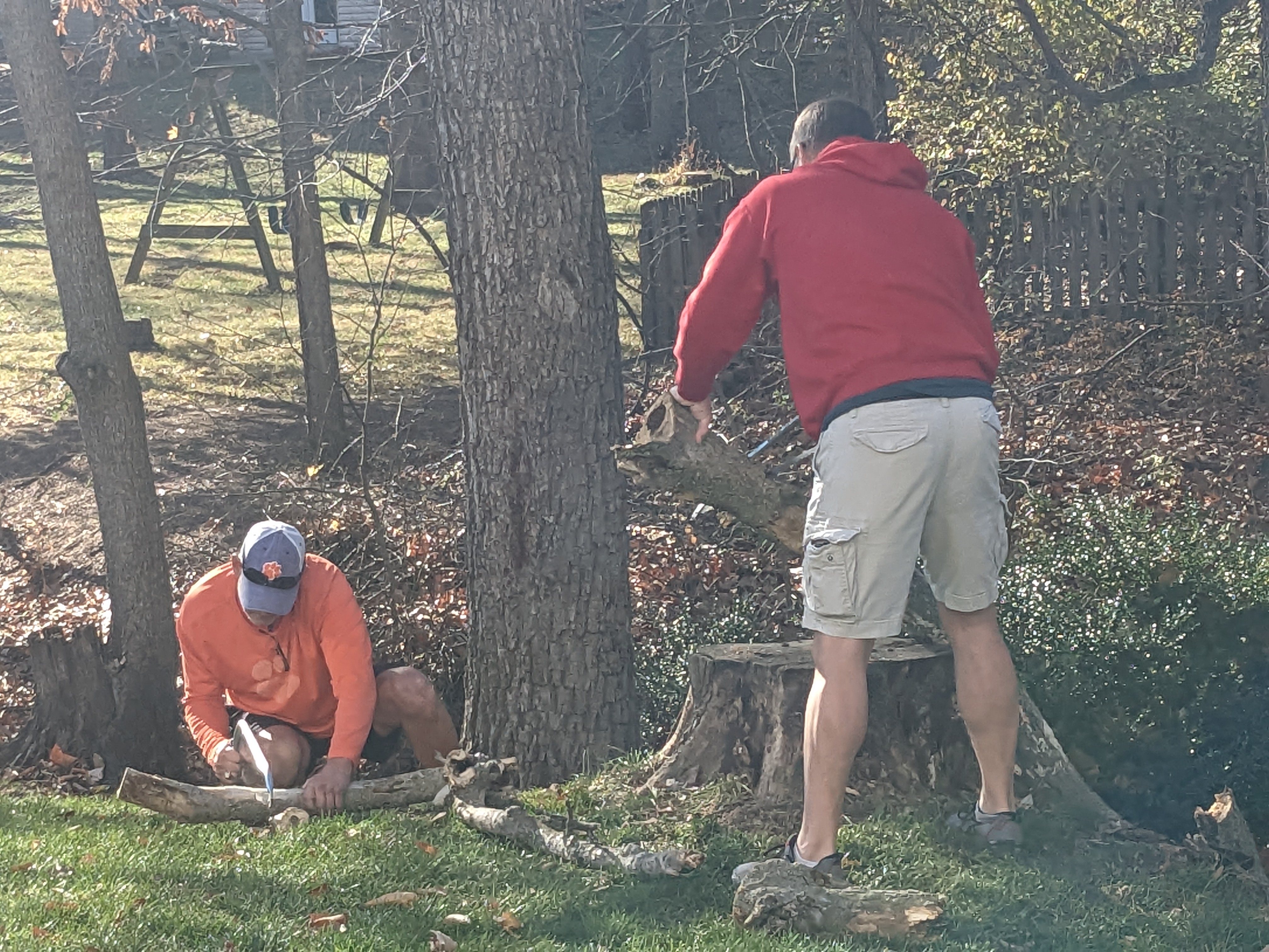 PXL 20221125 193202570