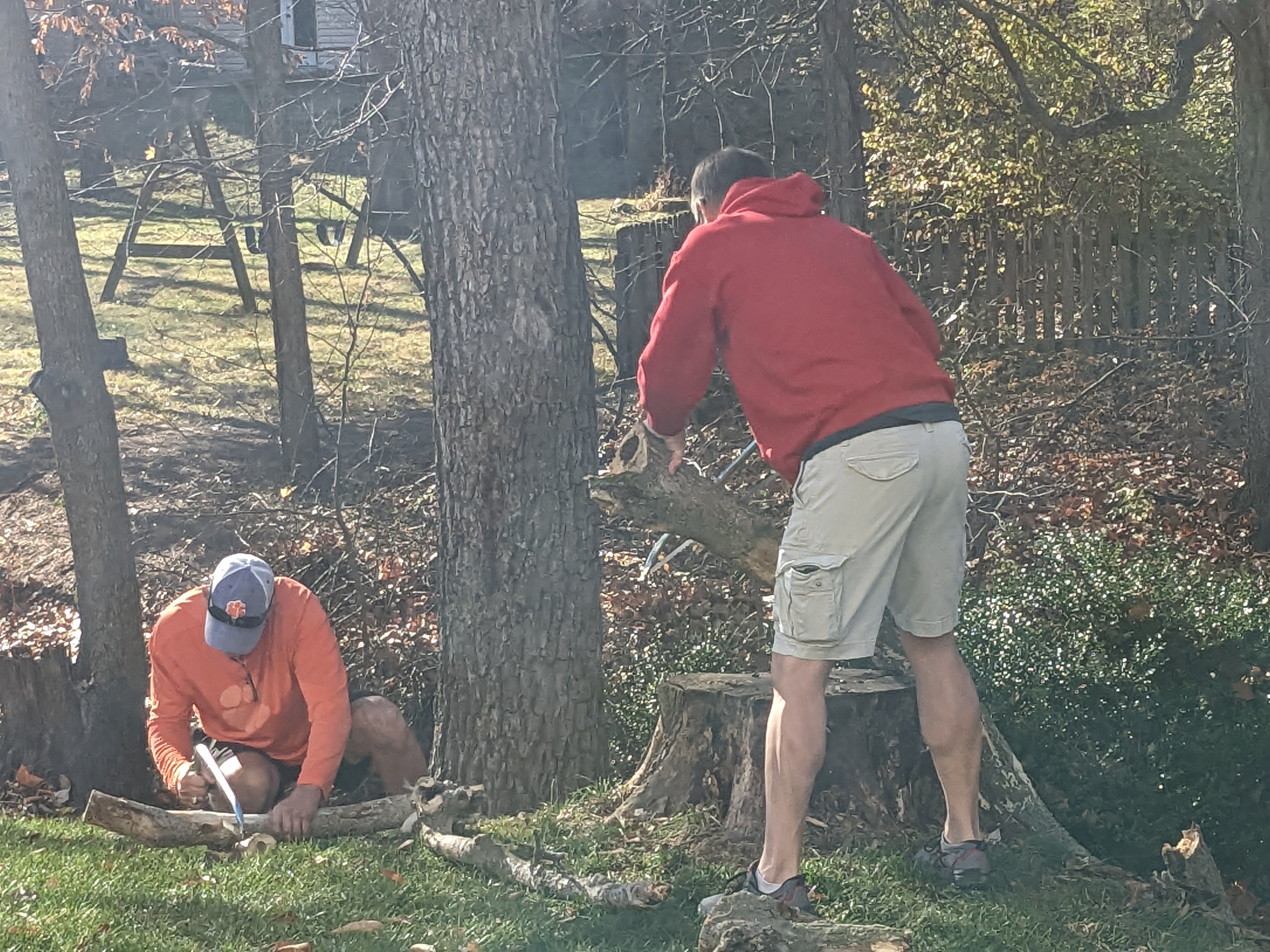 PXL 20221125 193204563