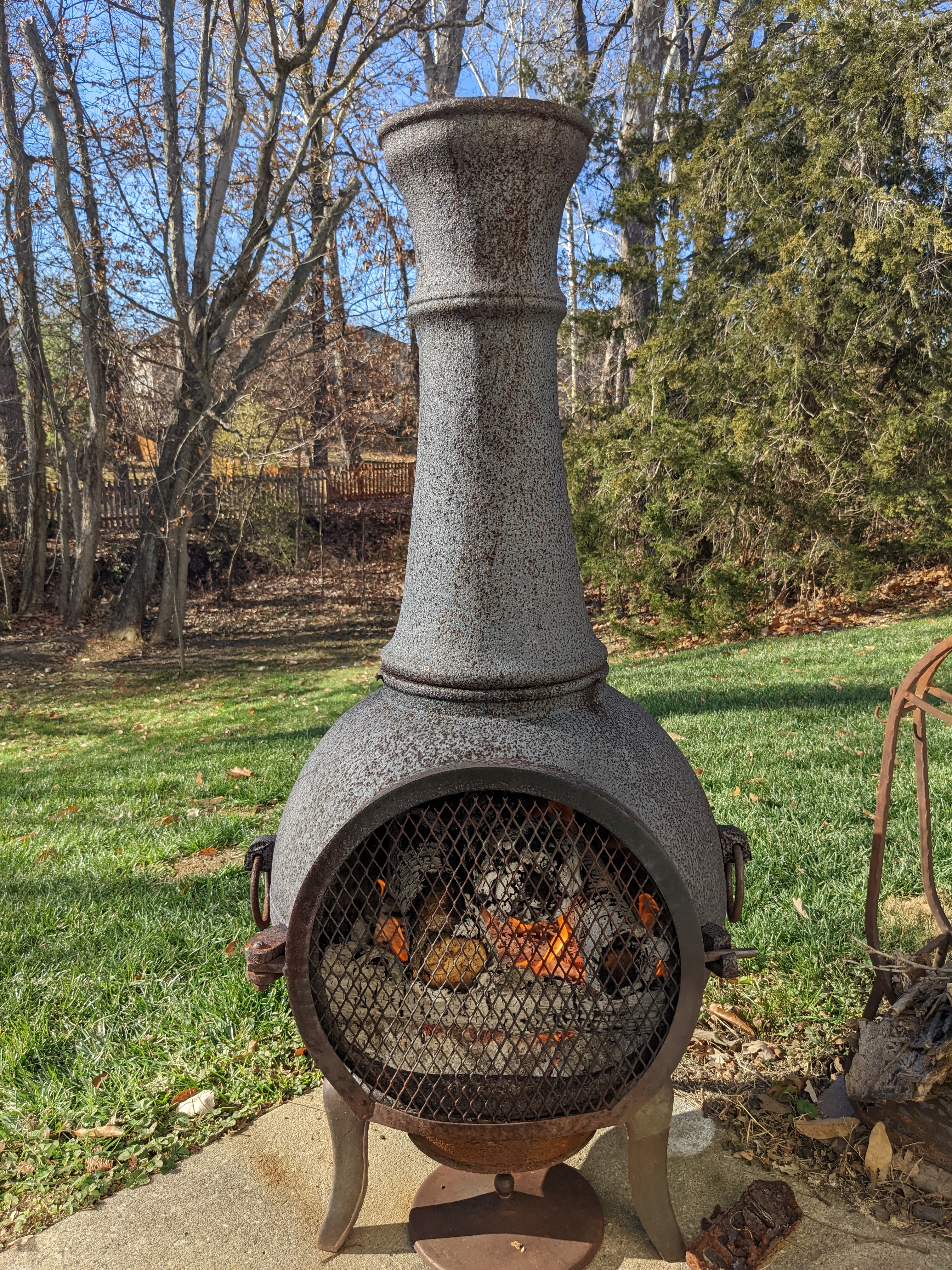 PXL 20221125 194807366