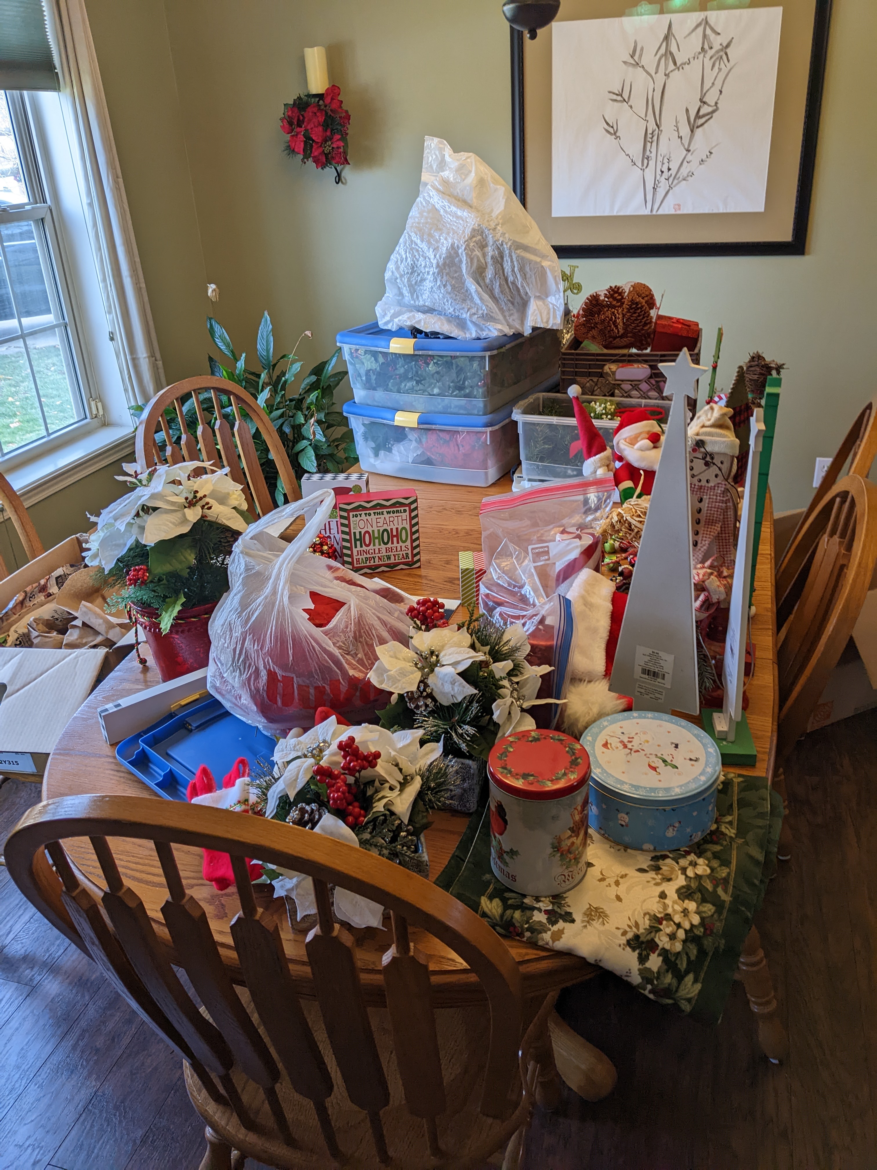 PXL 20221126 181859906