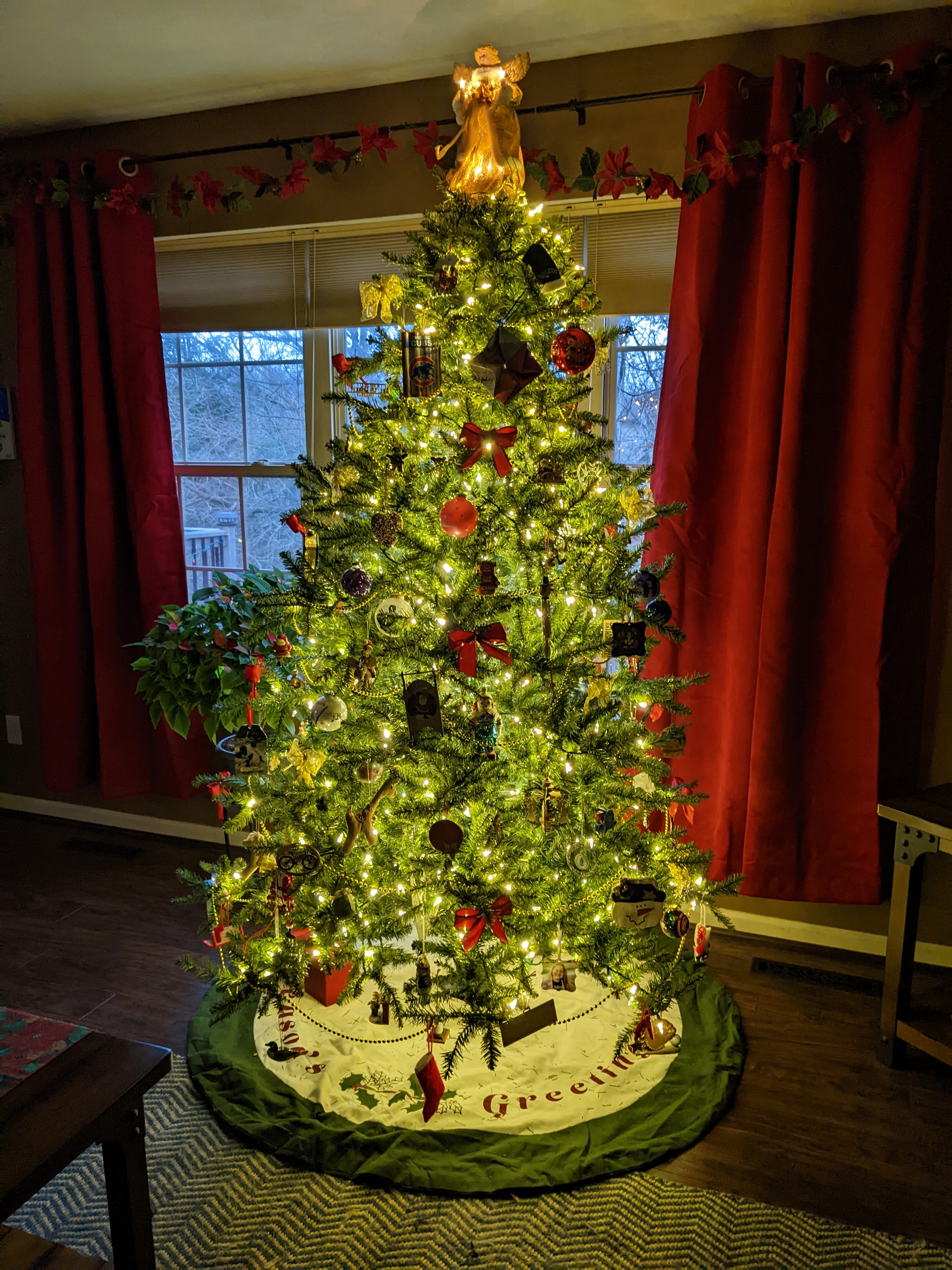 PXL 20221127 222240385