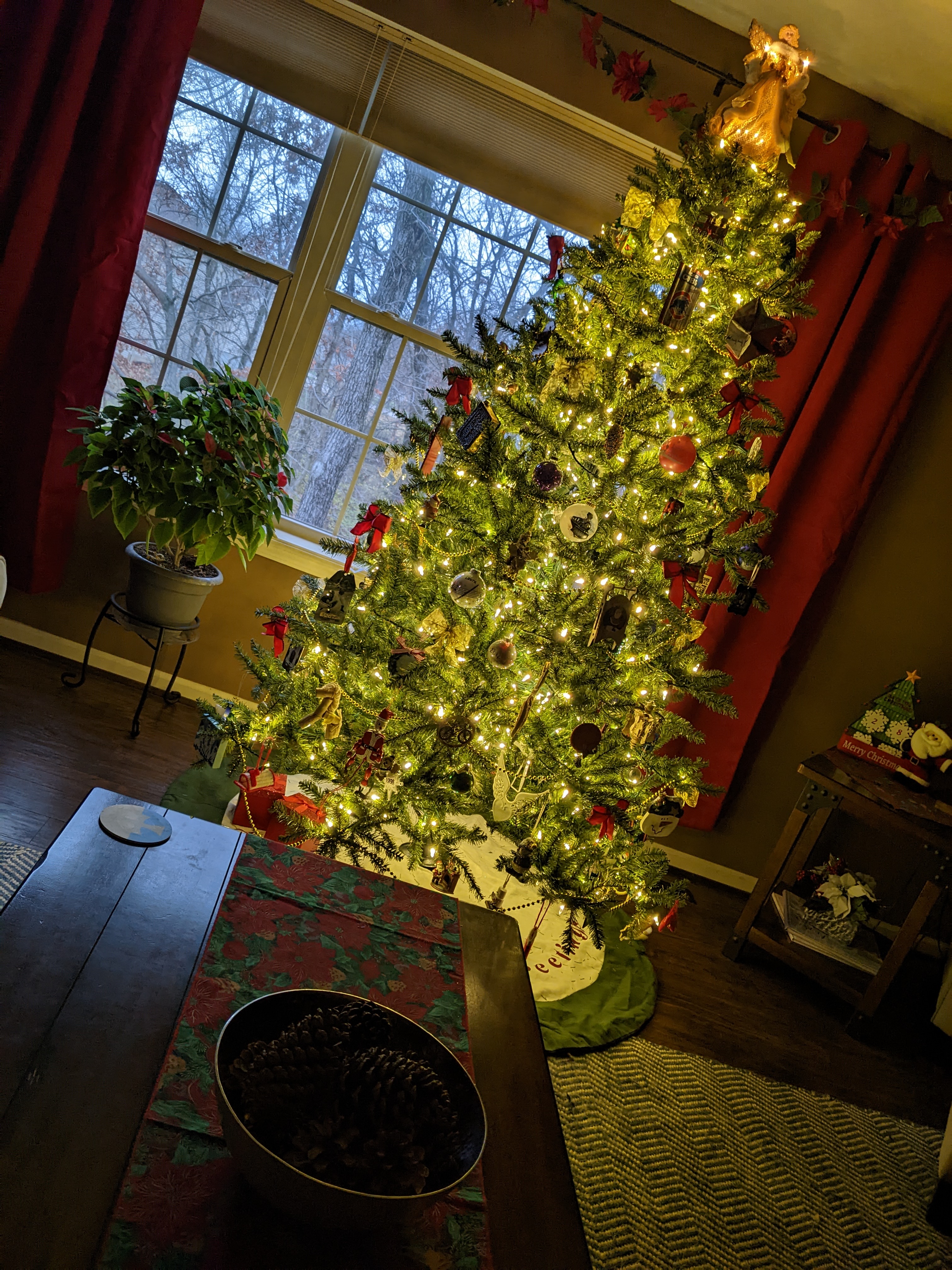 PXL 20221127 222308425