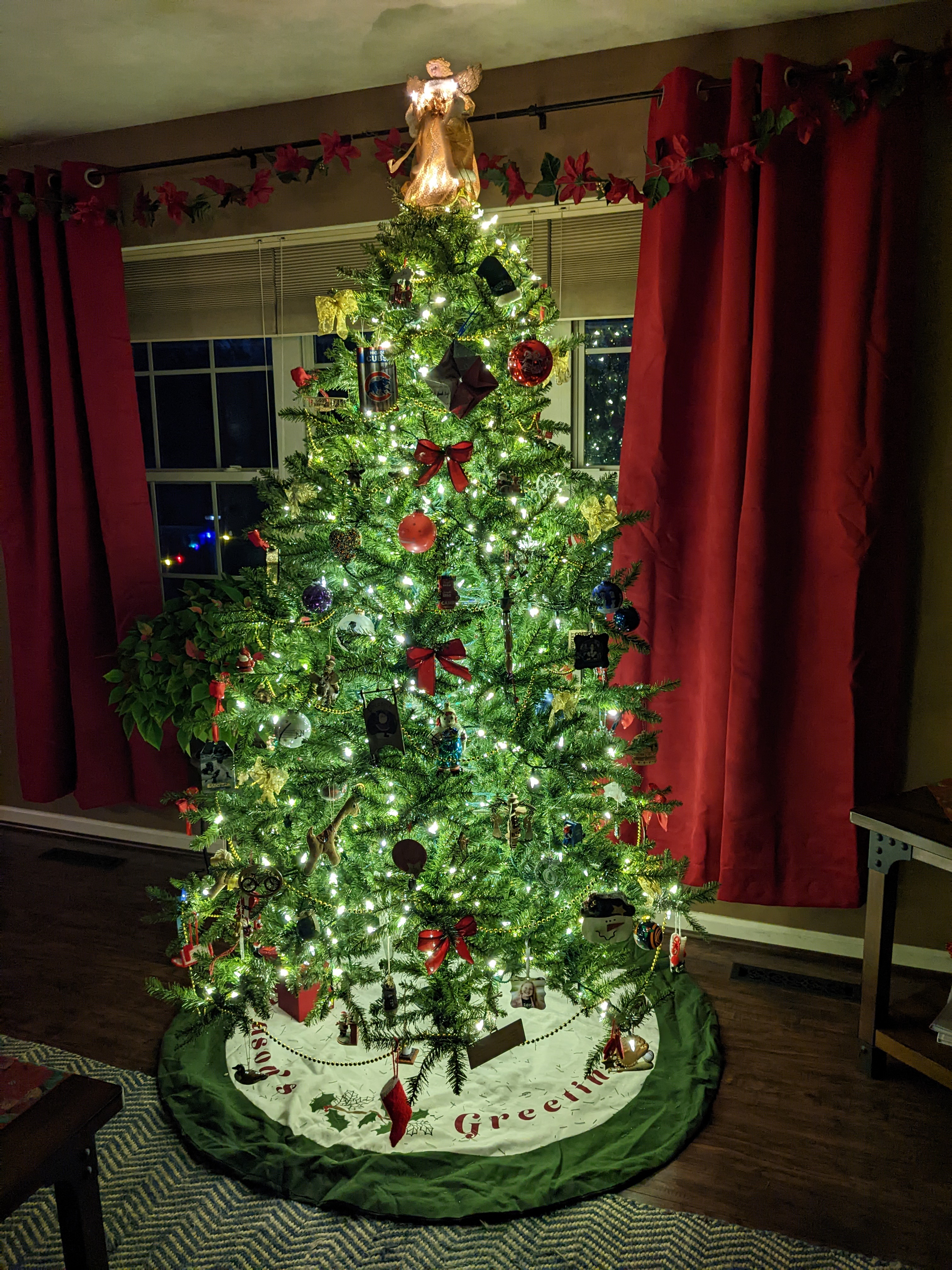 PXL 20221127 231715157