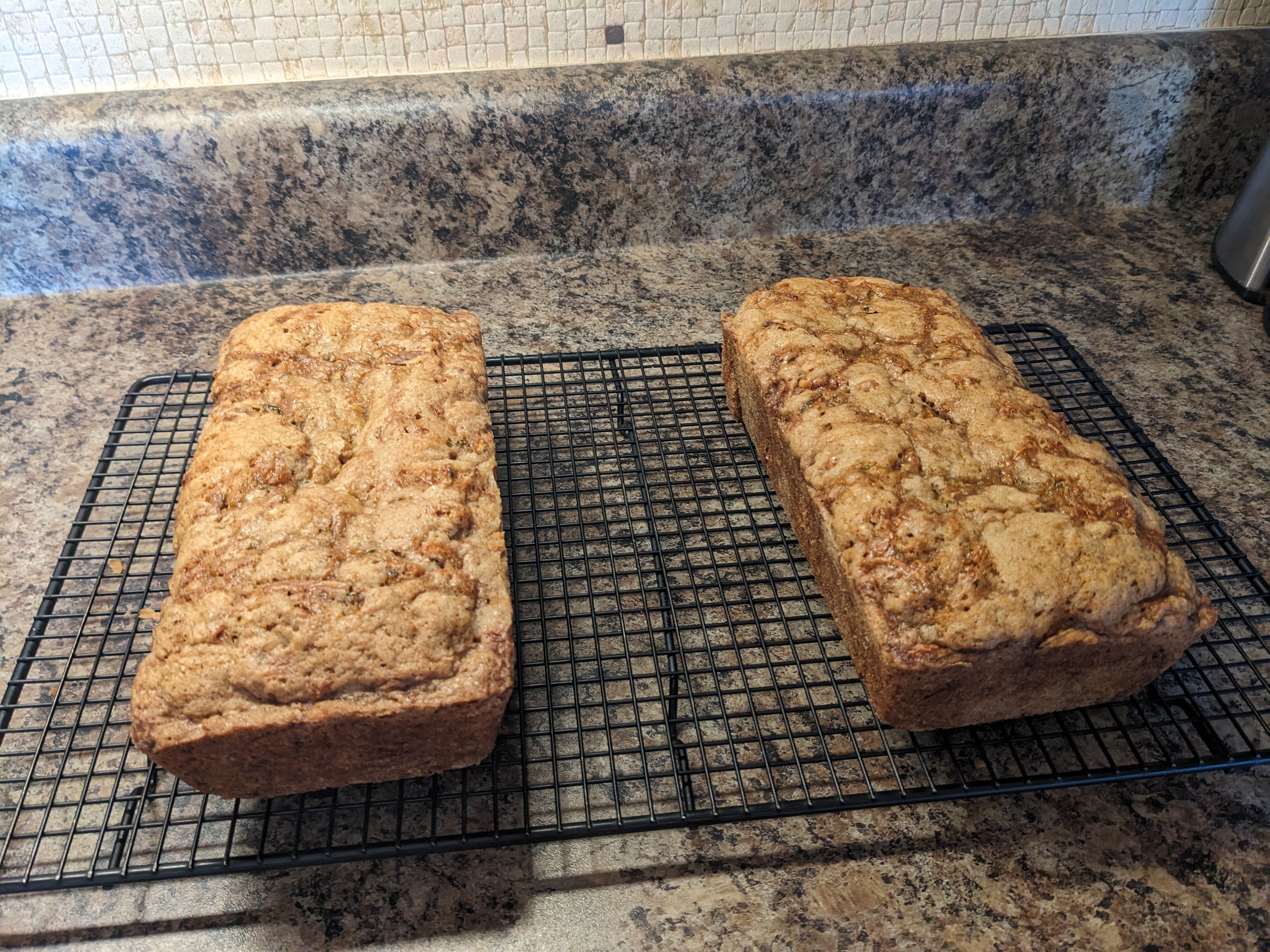 PXL 20231121 190059126