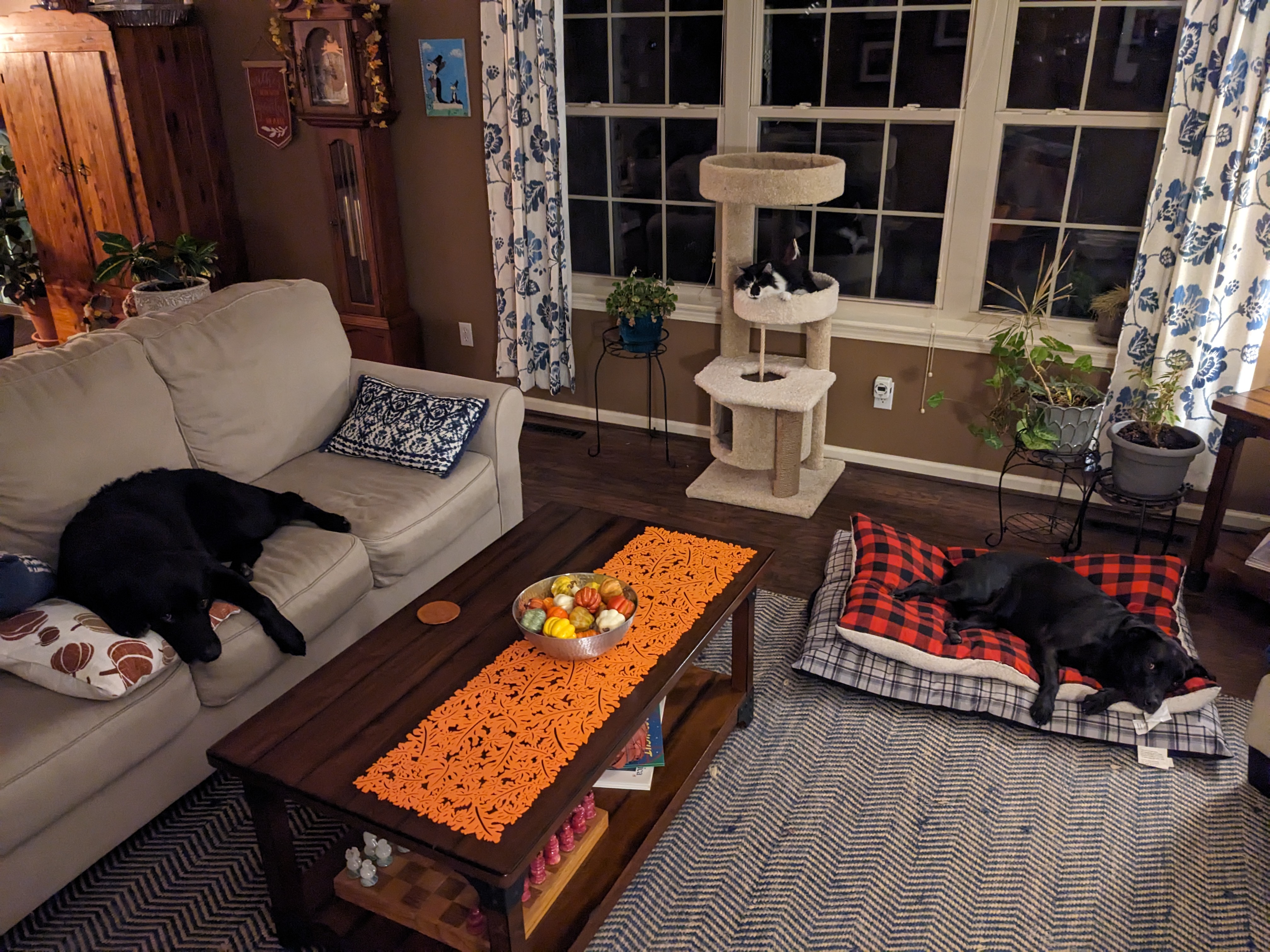 PXL 20231123 040219990