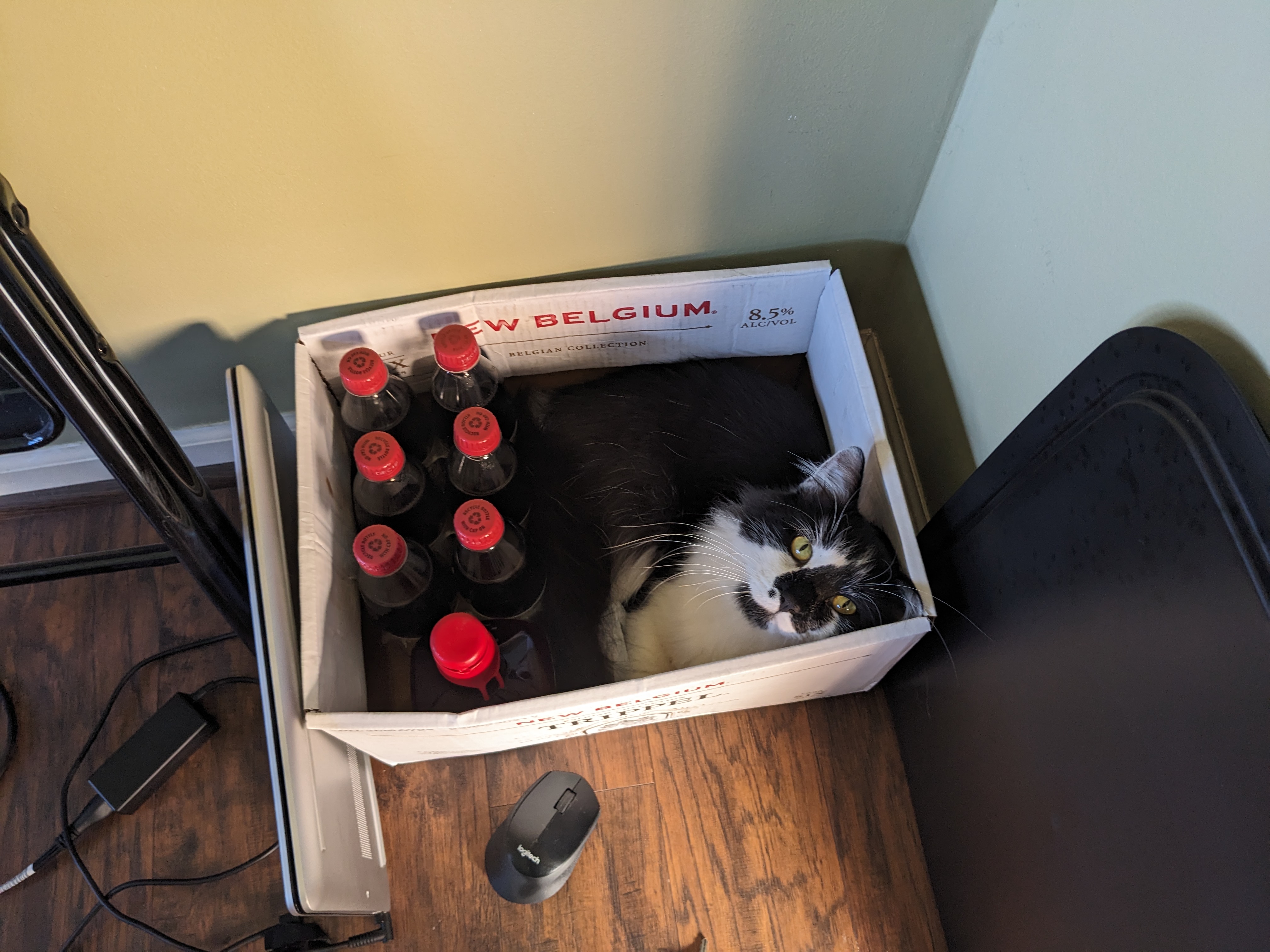 PXL 20231123 185642517